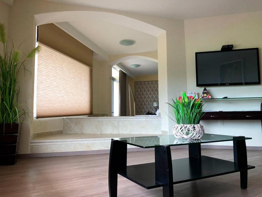 Junior Suite - Photo 6