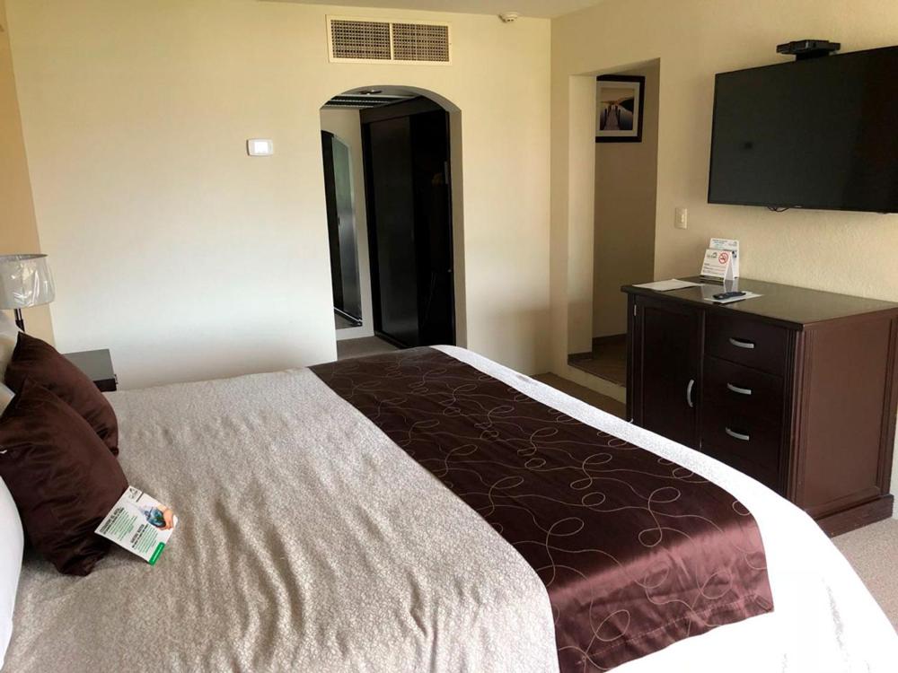 Junior Suite - Photo 1