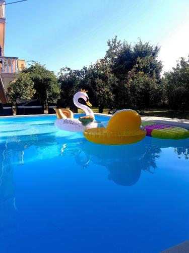 Apartment with Pool View  photo 2