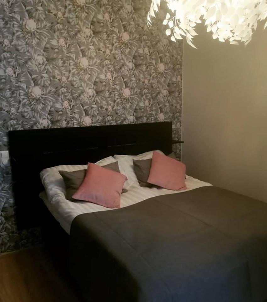 Suite - Photo 1