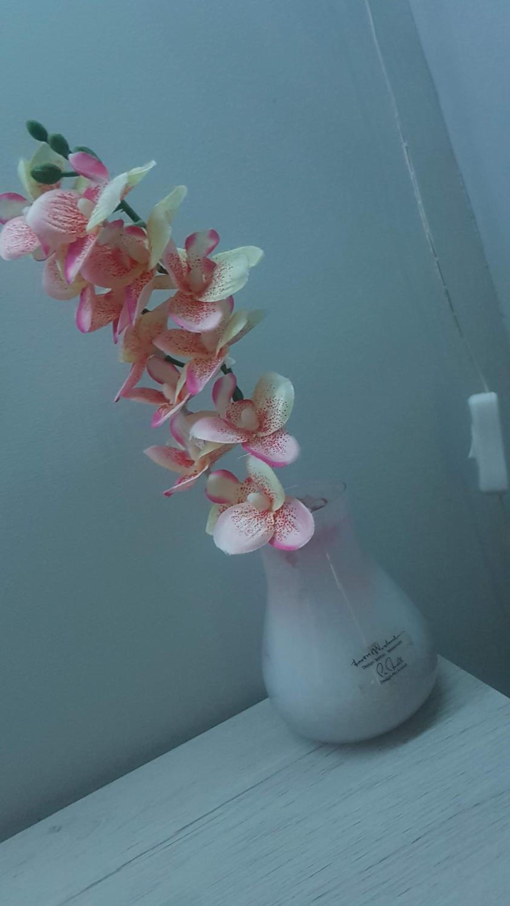 Apartment - Photo 20