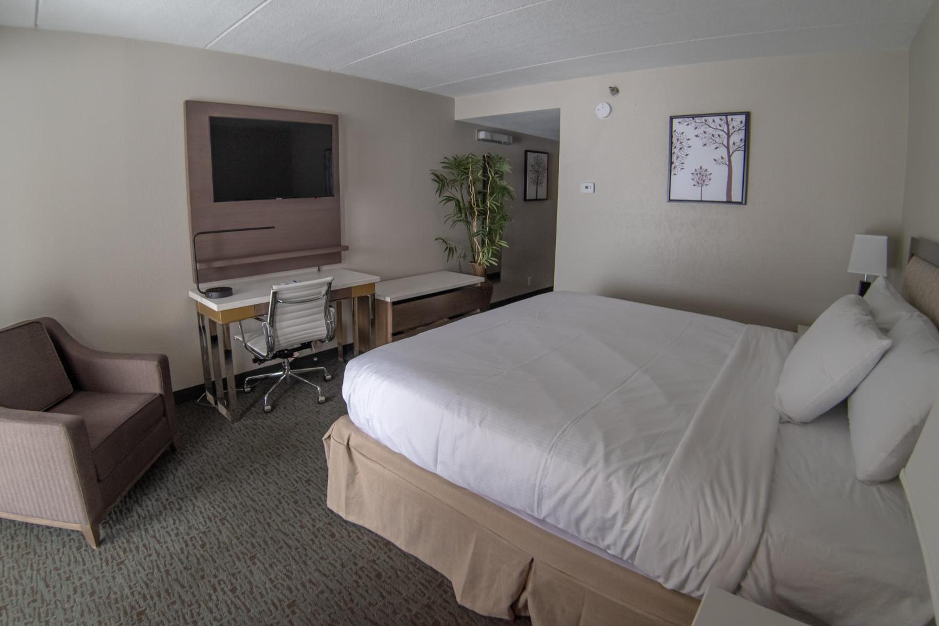 1 King Bed, Luxury Suite, Non-Smoking photo 3