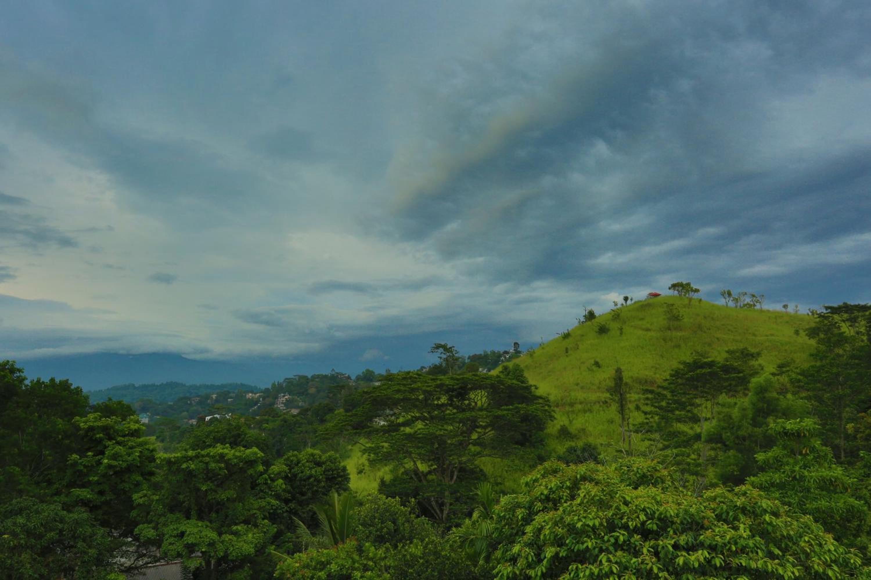 Superior Double Room with Forest View - One Pickup or Drop to Kandy City Centre per Stay, Extended Check-in & Out (on Availability) photo 2