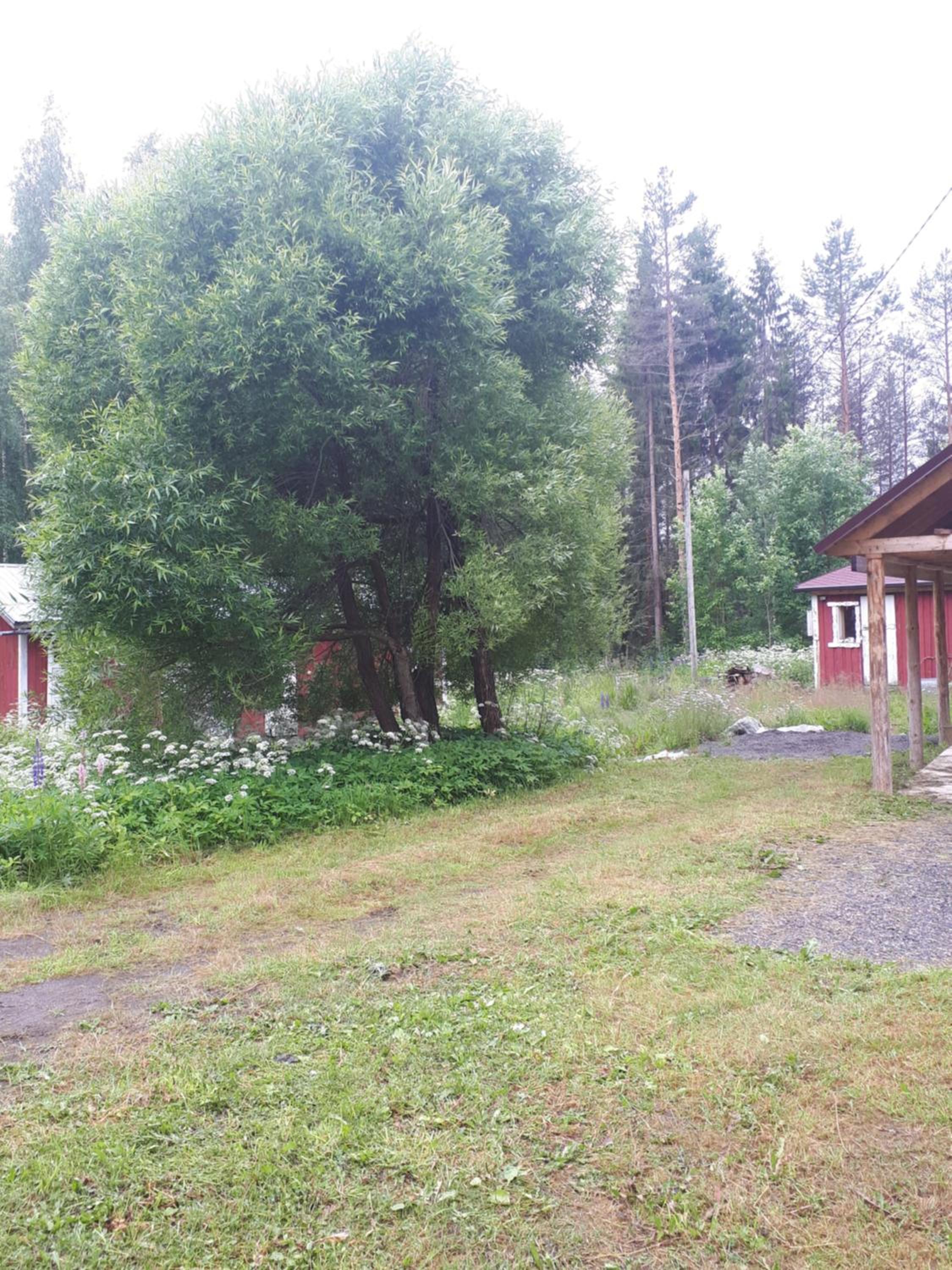 Three-Bedroom House - Photo 17