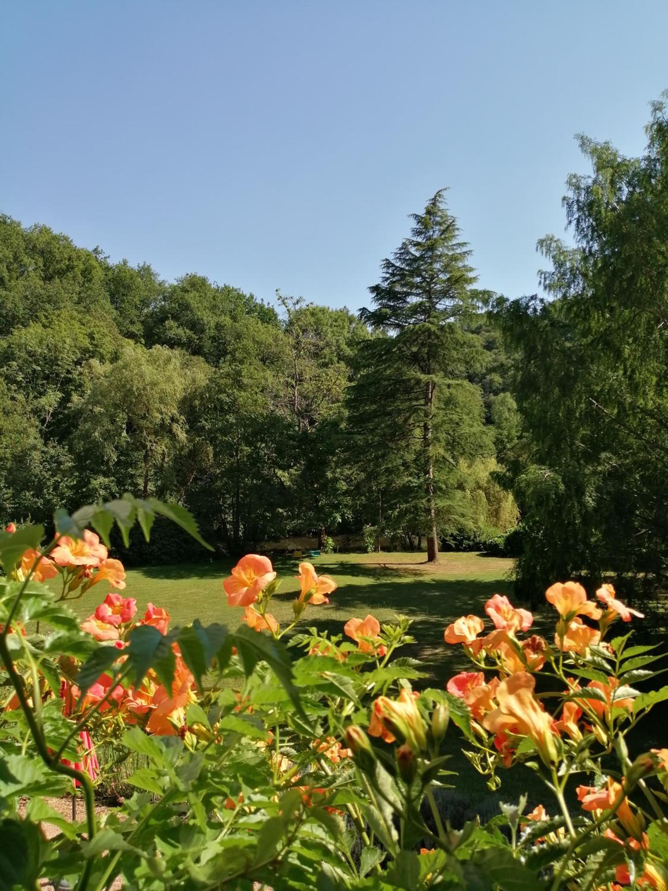 Double Room with Garden View photo 1
