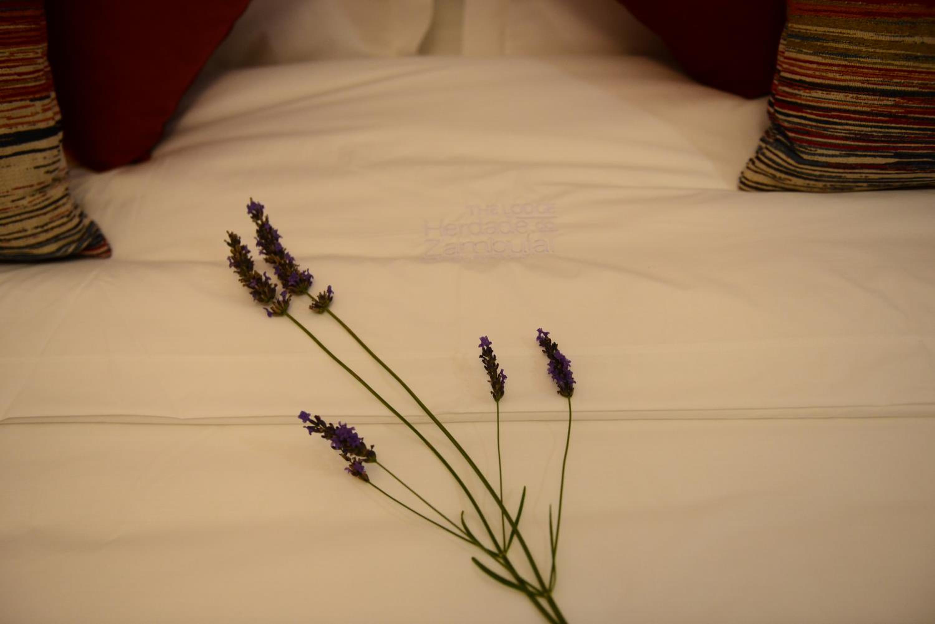 Suite with Terrace