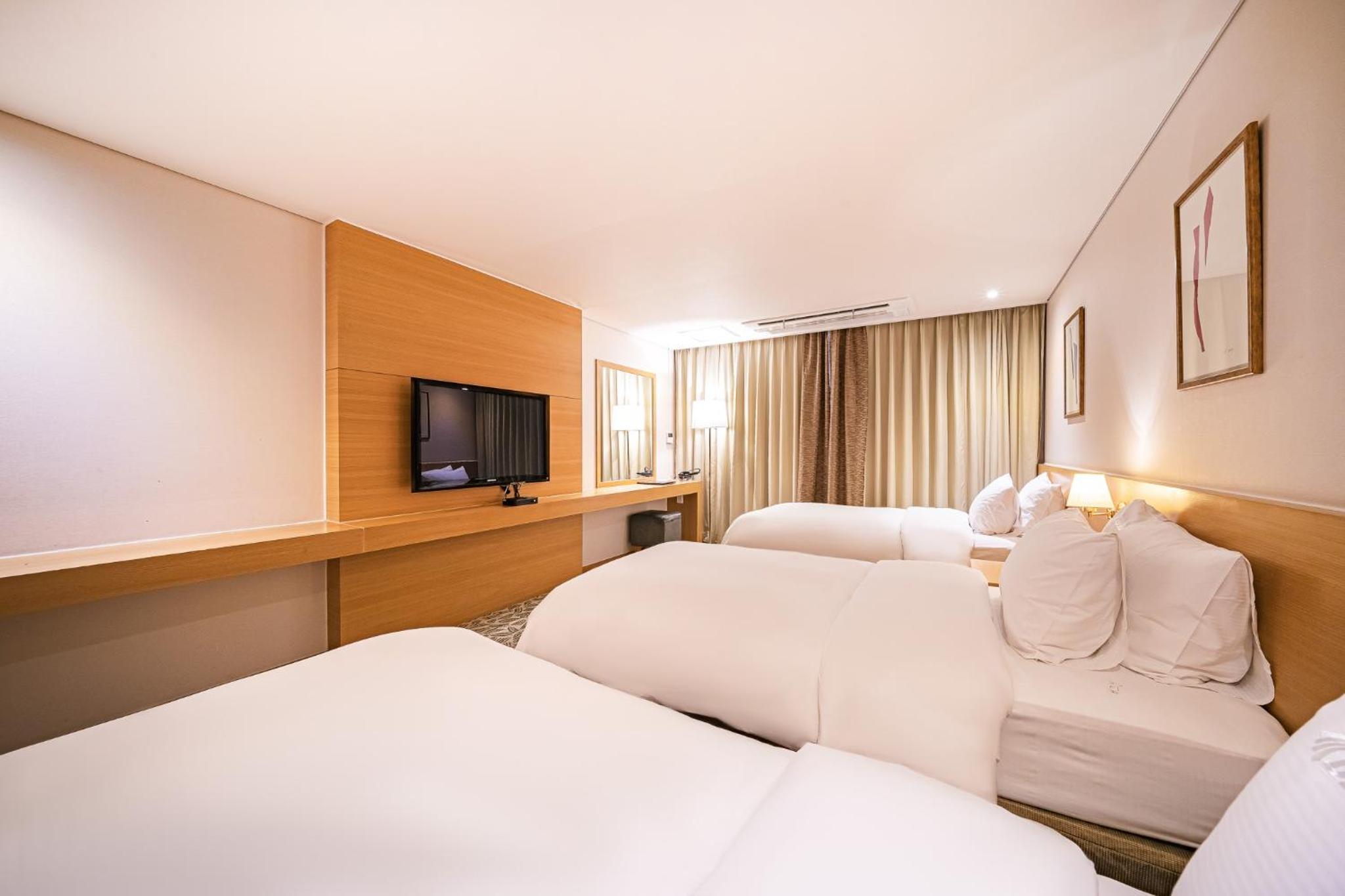 Triple Room with City View photo 2