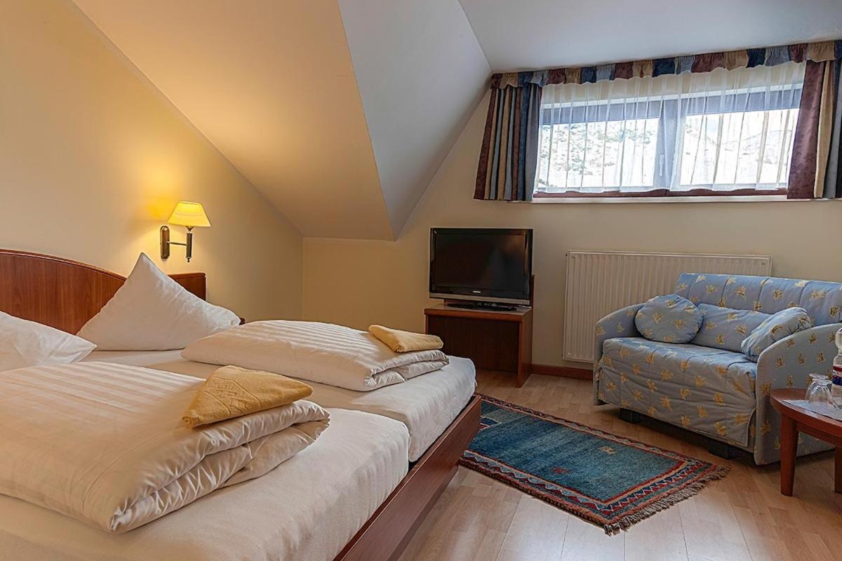 Double Room with Mountain View