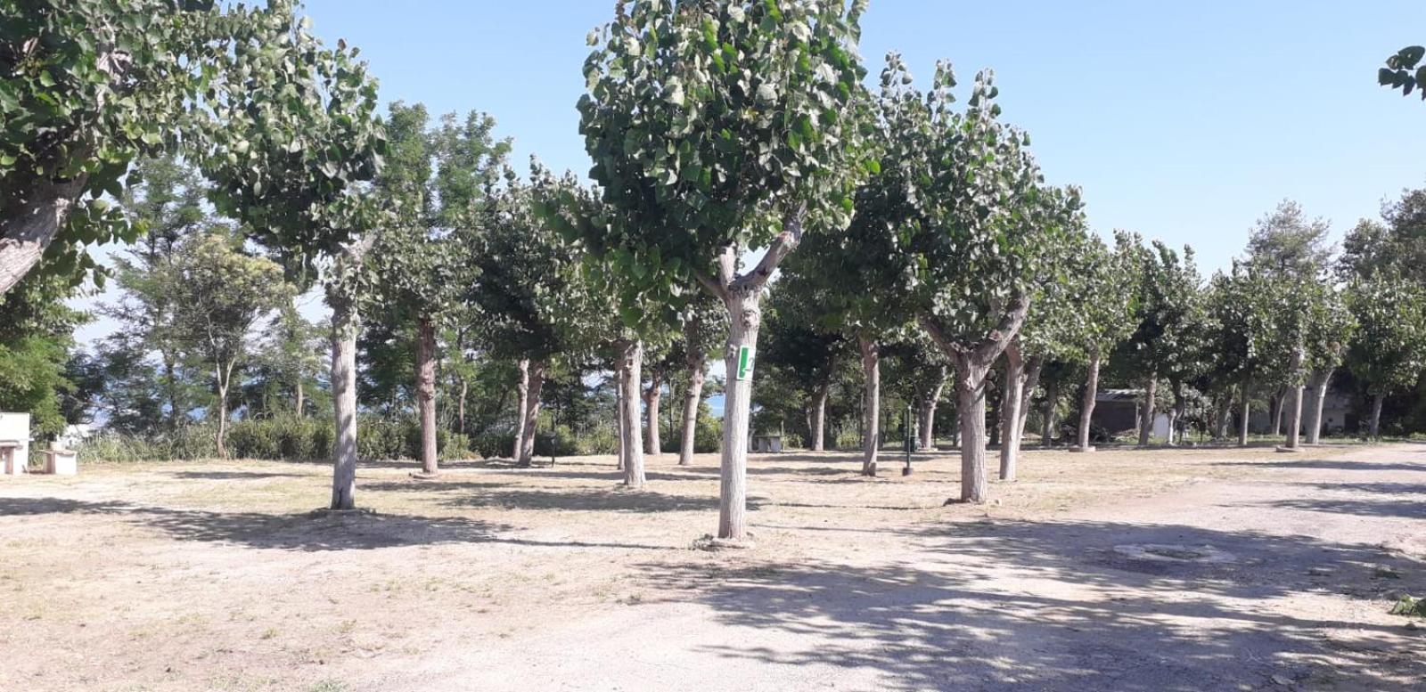 Empty lot - Photo 1
