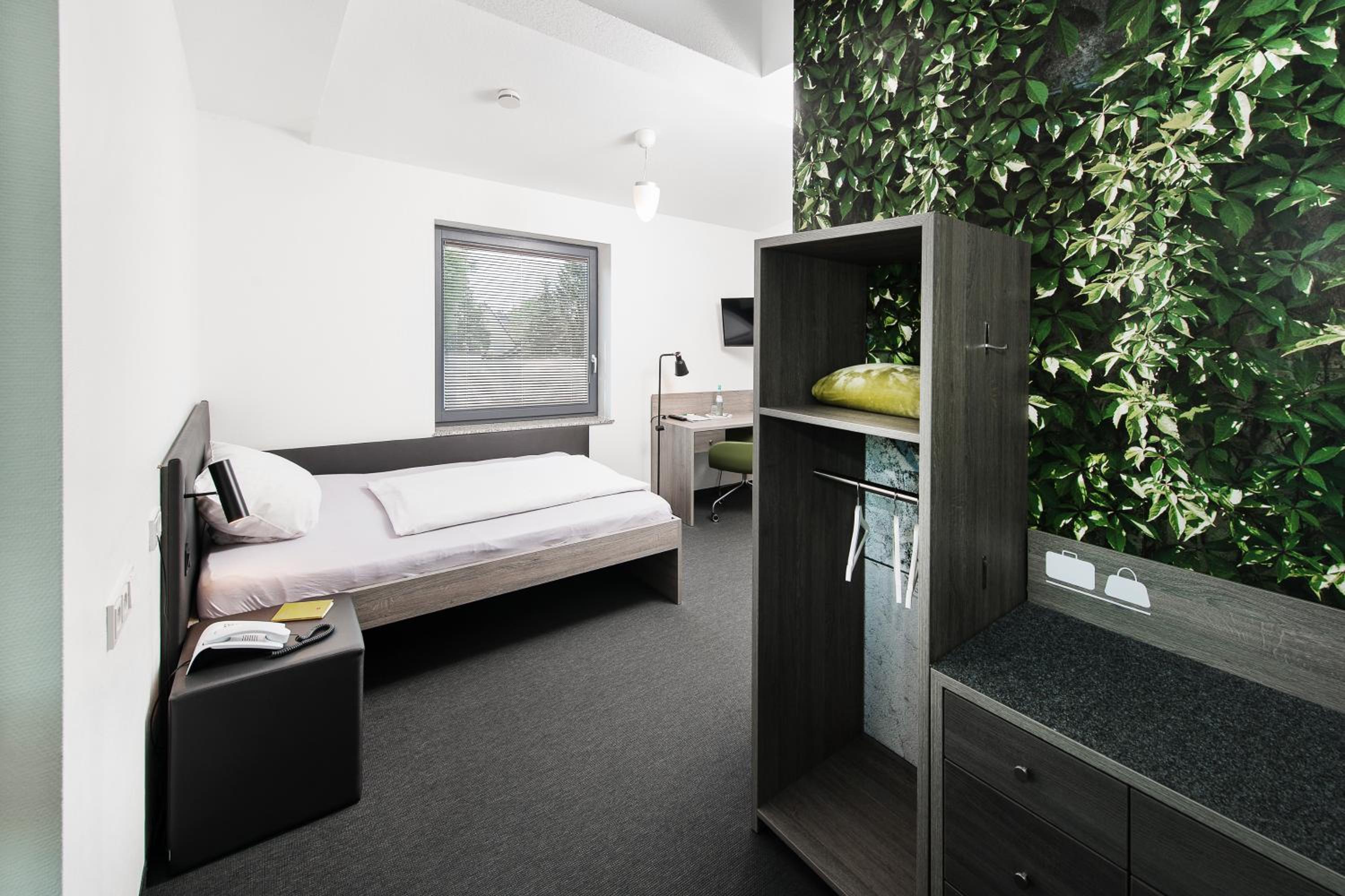 Single Room photo 1