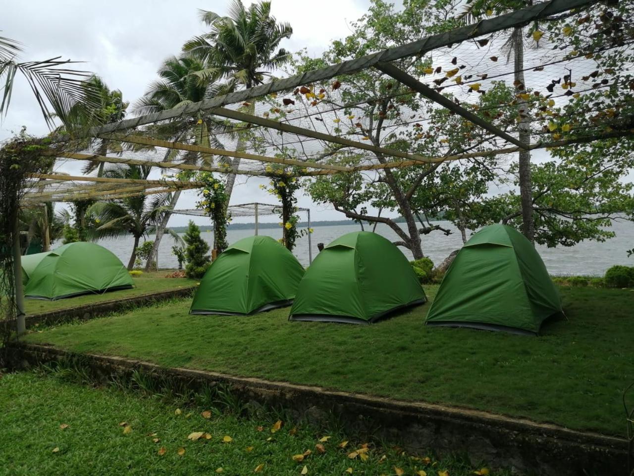 Tent photo 2