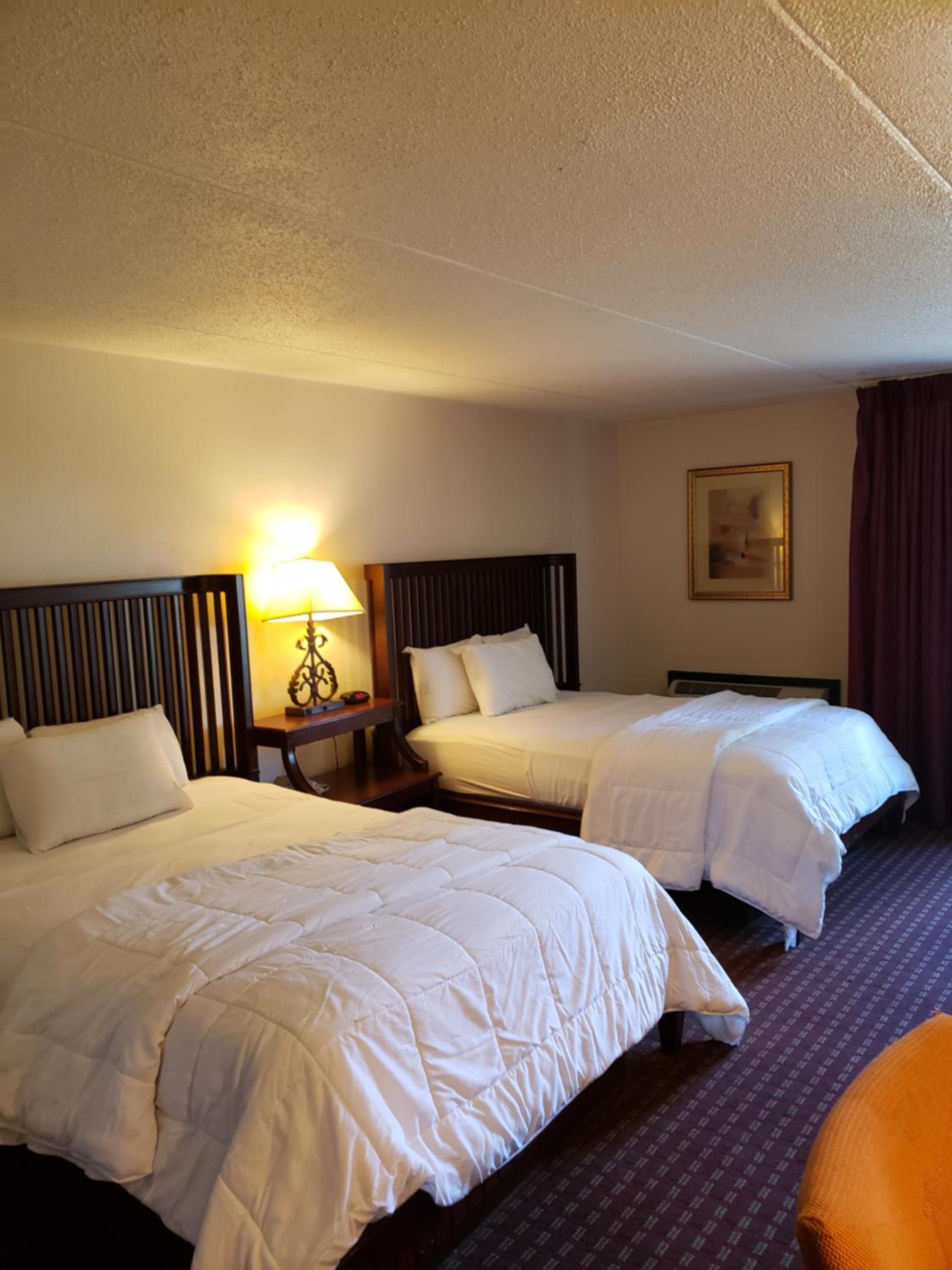 Double Room - Disability Access photo 3