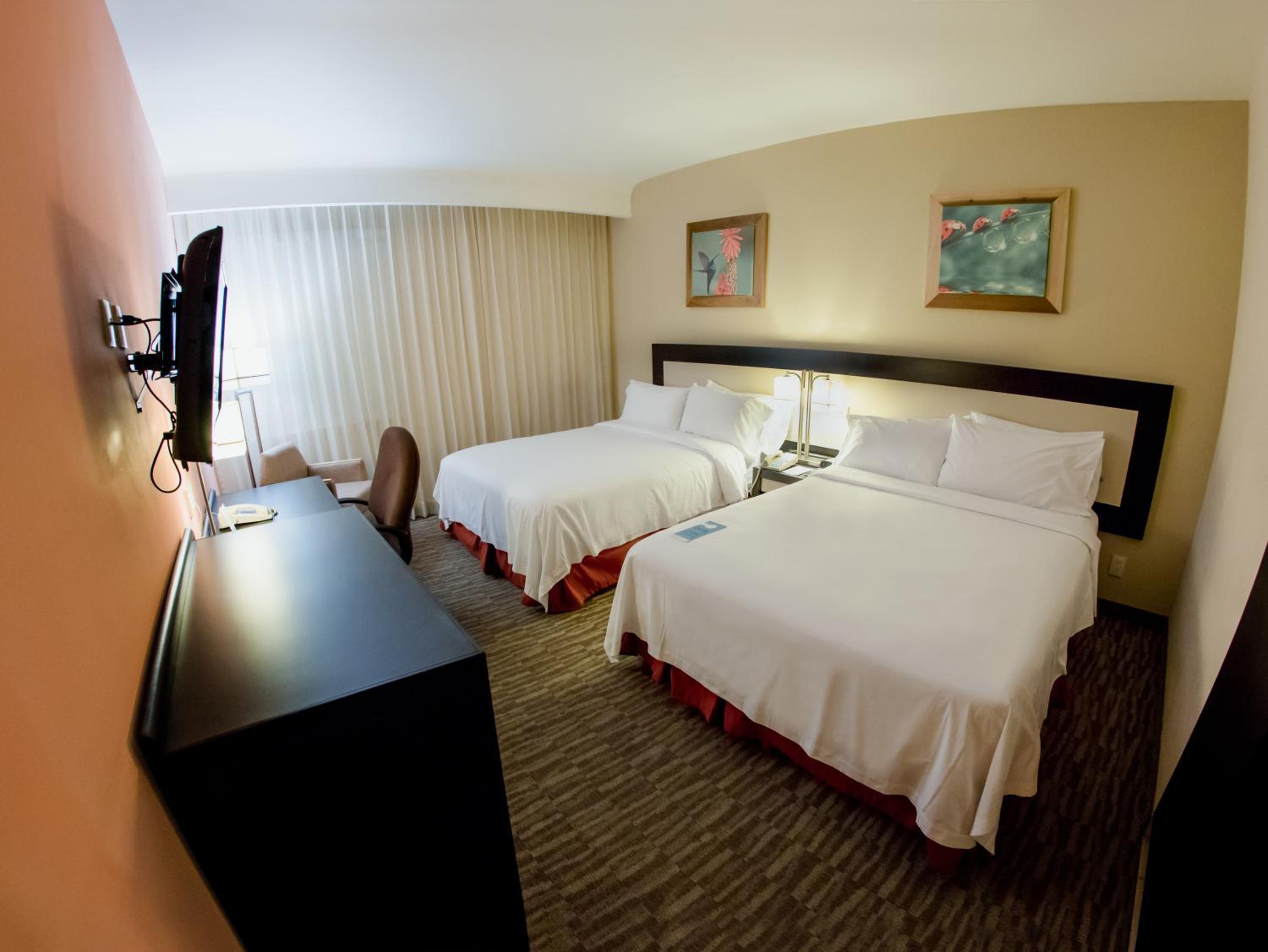 Deluxe Twin Room - Photo 1