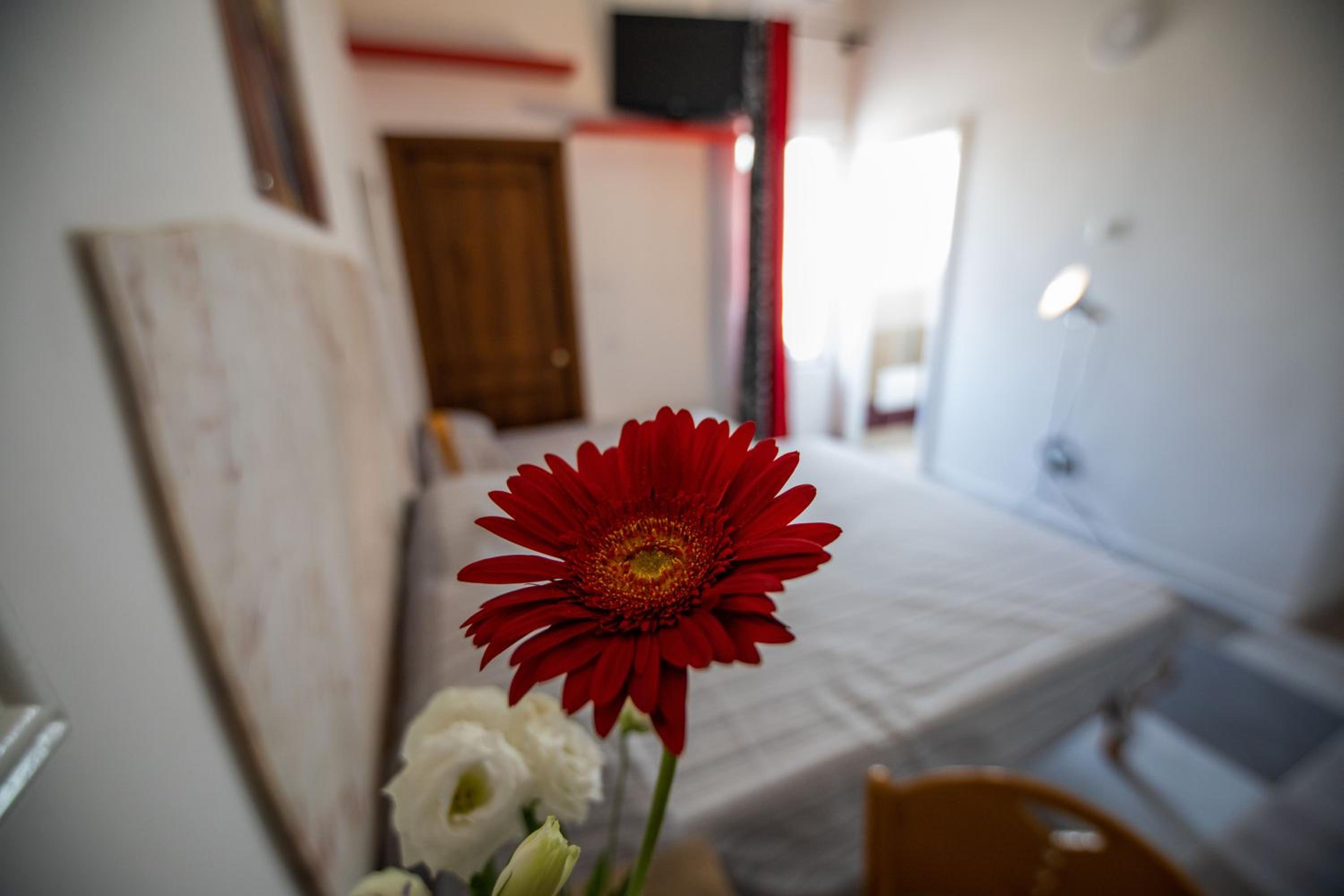 Comfort Triple Room - Photo 14