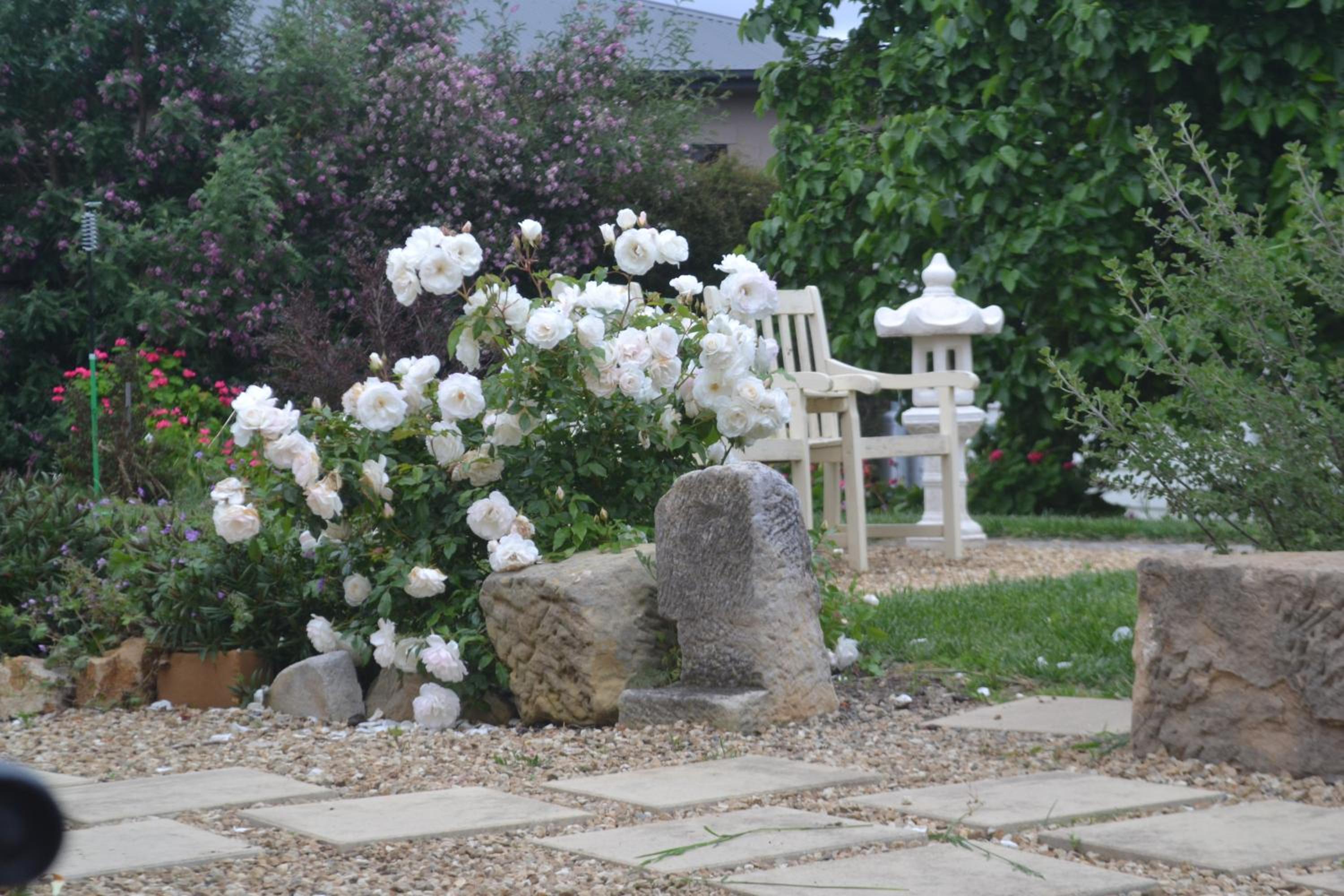 Garden Cottage photo 3