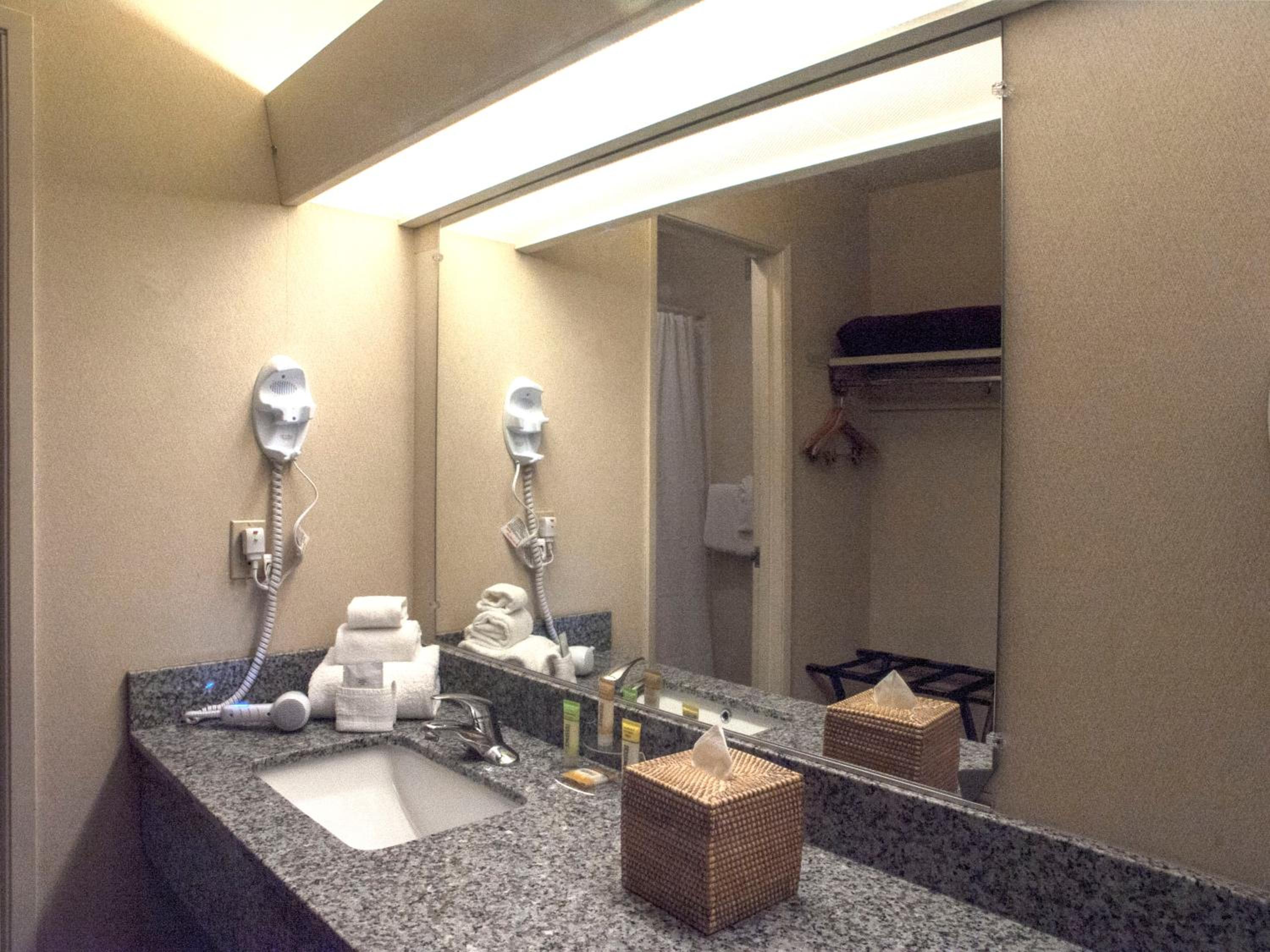 Deluxe King Room - Photo 23