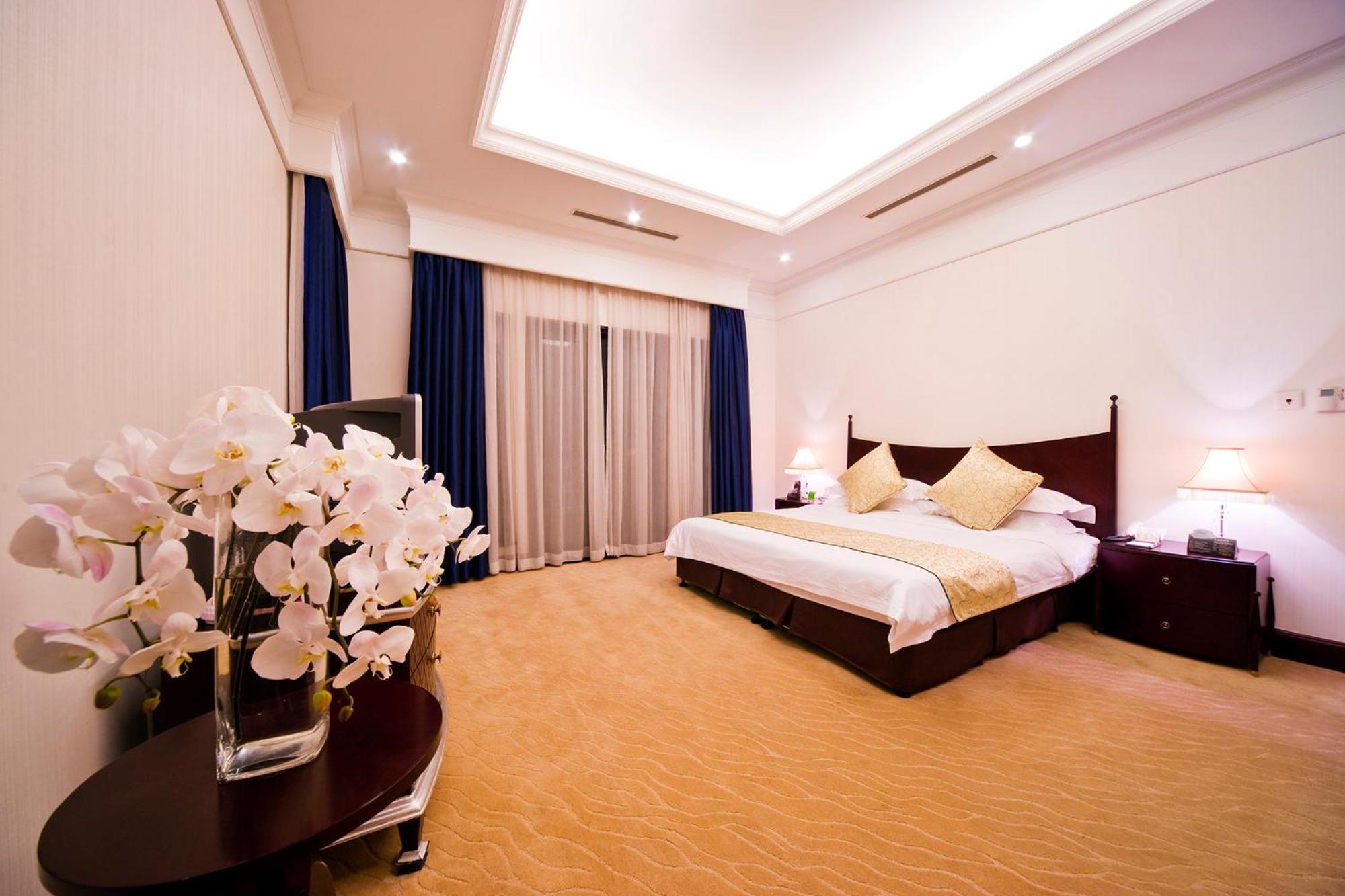 Deluxe Villa photo 3