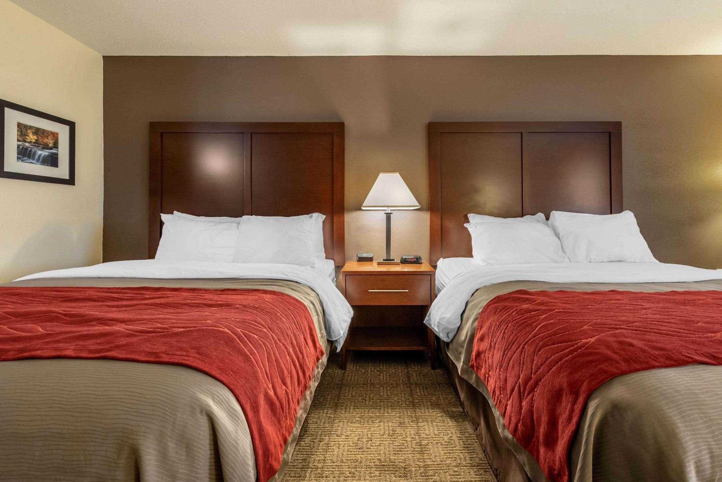 Queen Room with Two Queen Beds - Non-Smoking - Photo 1