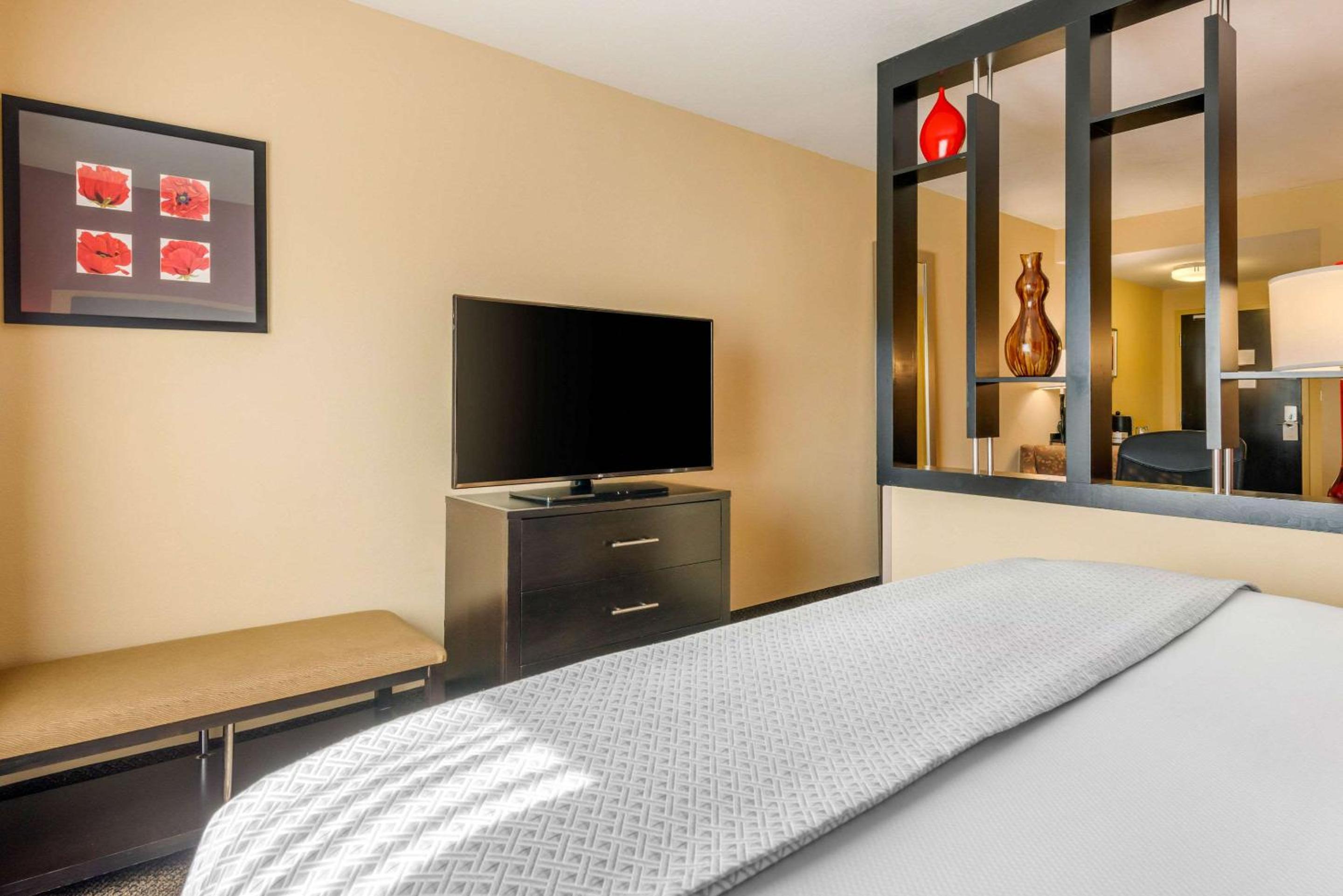 King Room - Non-Smoking - Photo 8
