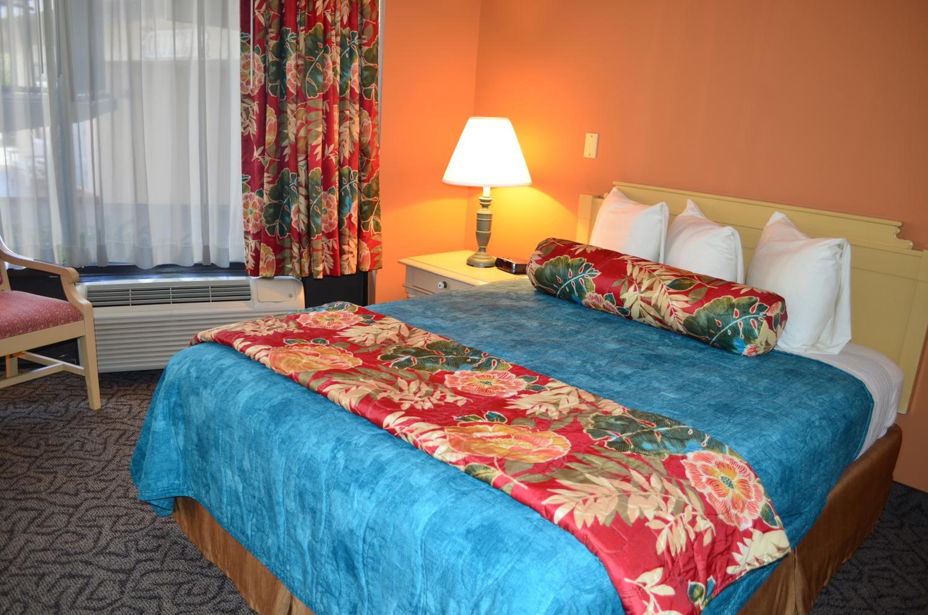 One-Bedroom Suite - Photo 2