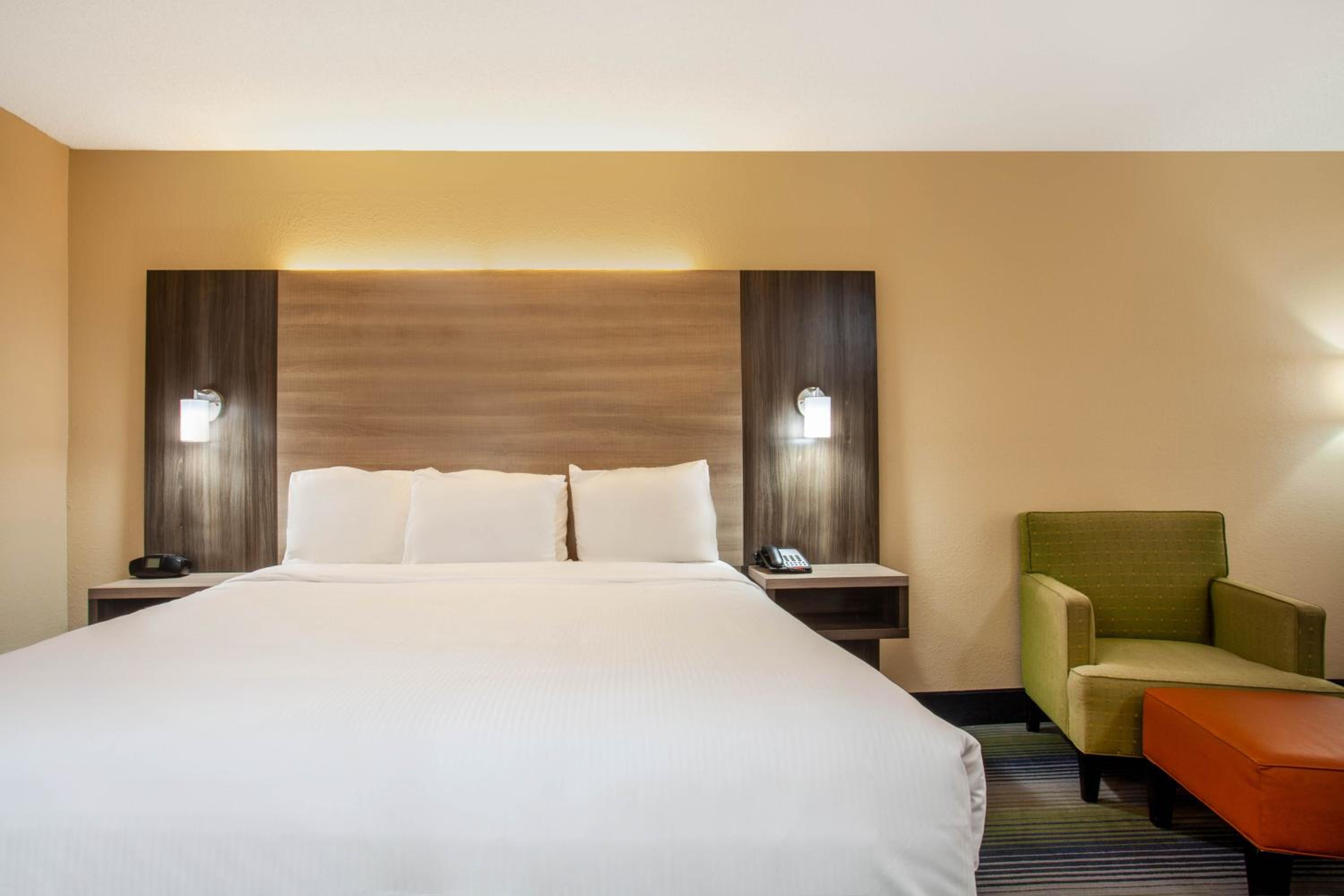 1 King Bed, Pet-Friendly, Non-Smoking photo 2