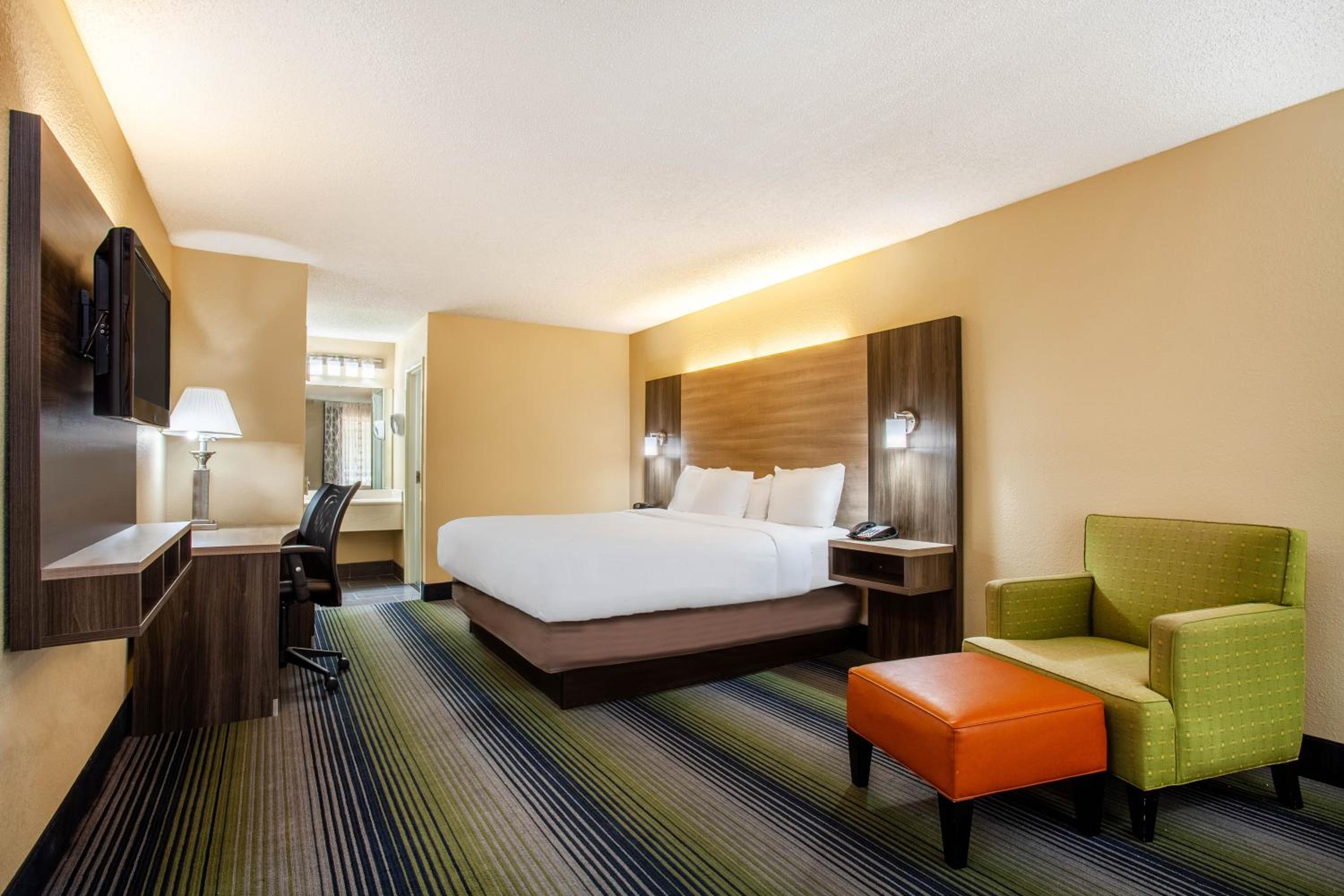 1 King Bed, Pet-Friendly, Non-Smoking photo 1
