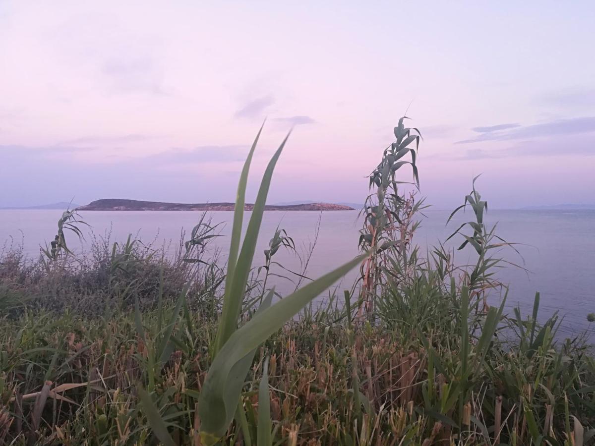 Studio (2 Adults + 1 Child)