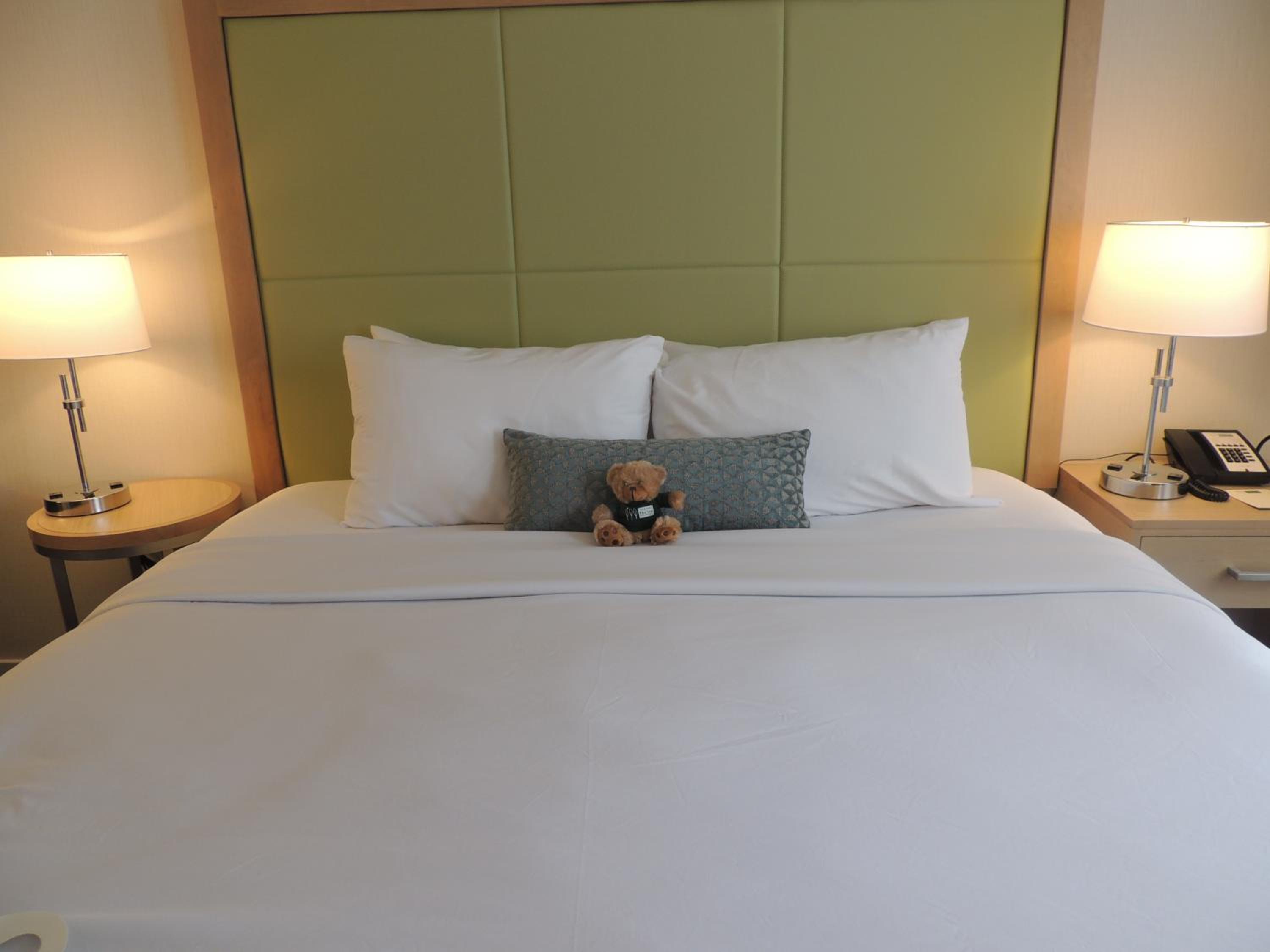 Superior King Room - Photo 8