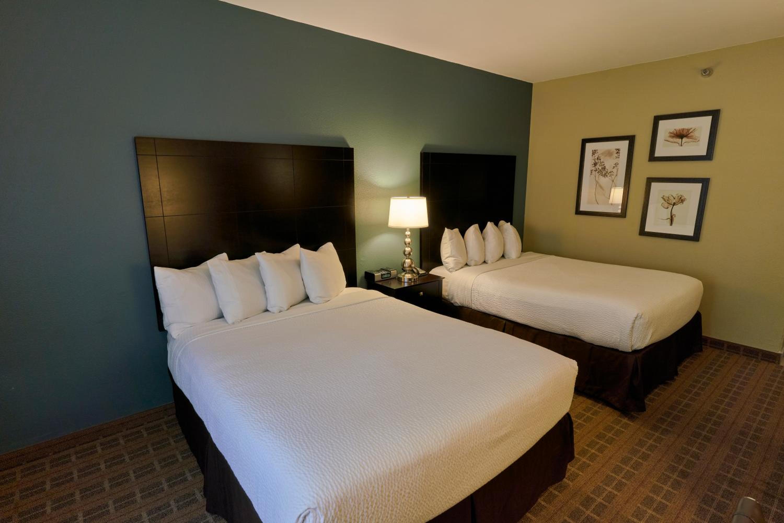 Quadruple Room - Photo 5