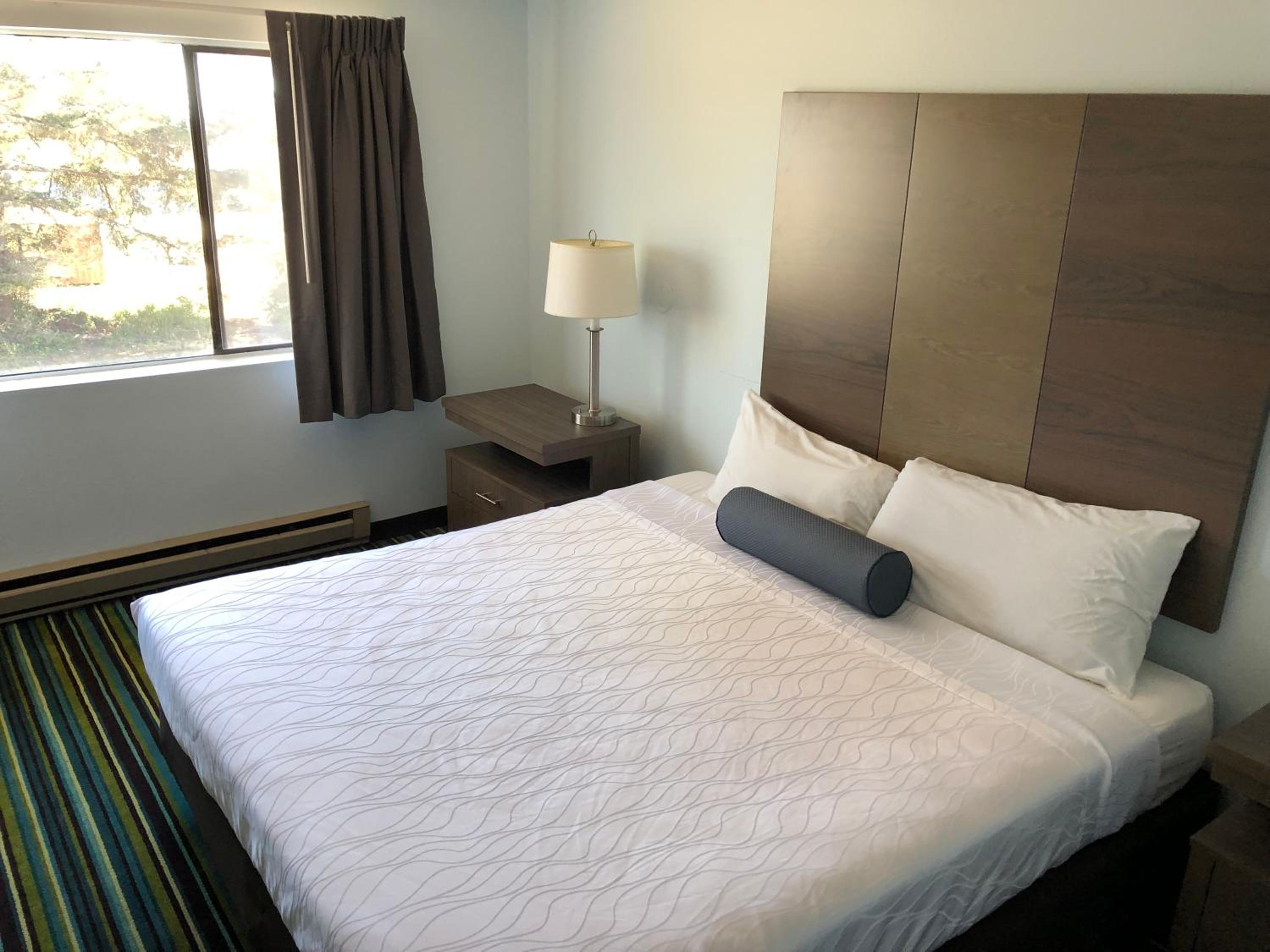 Triple Room with Three Queen Beds photo 3