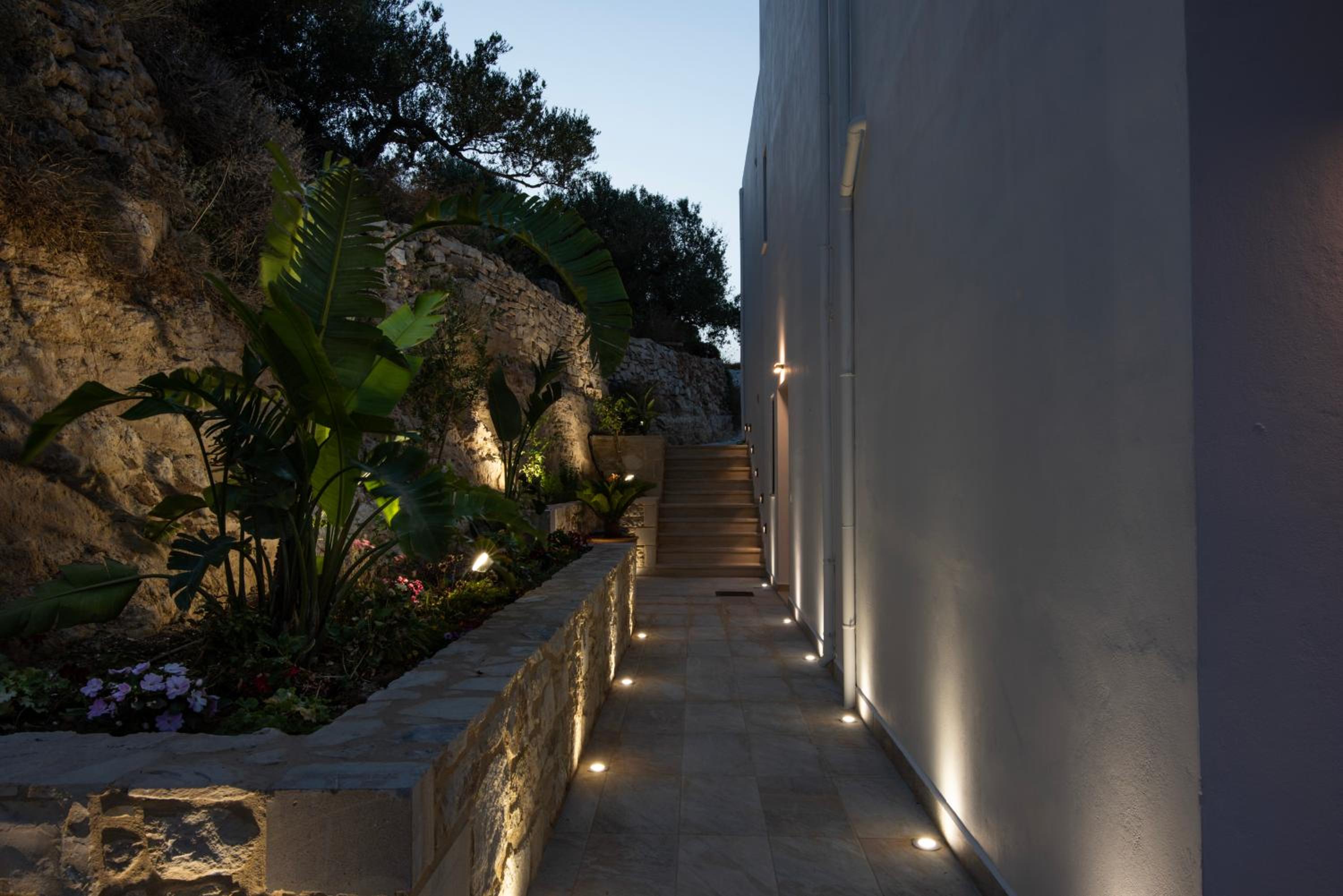 Deluxe Villa photo 3