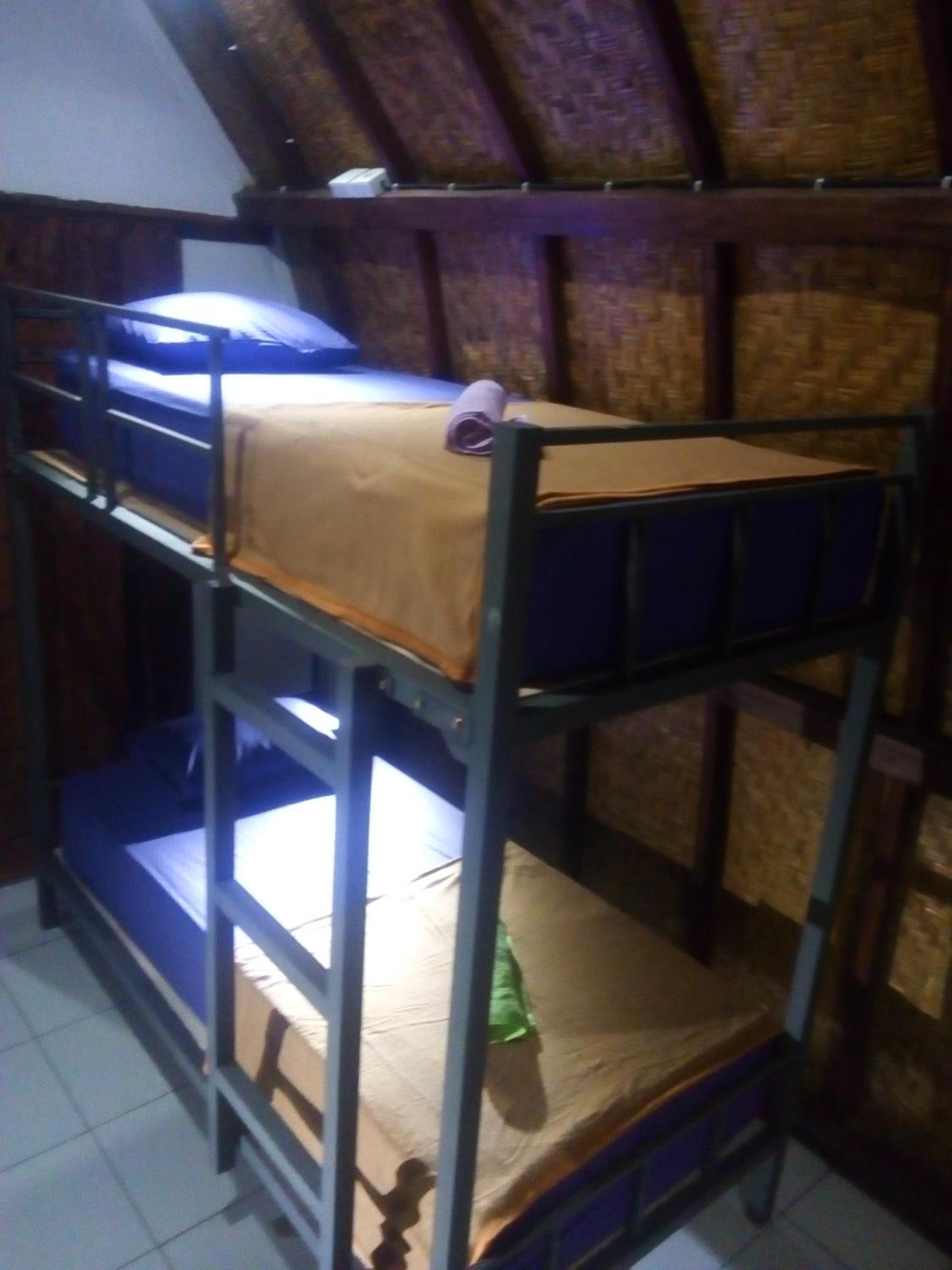 Bunk Bed In Mixed Dormitory Room photo 2