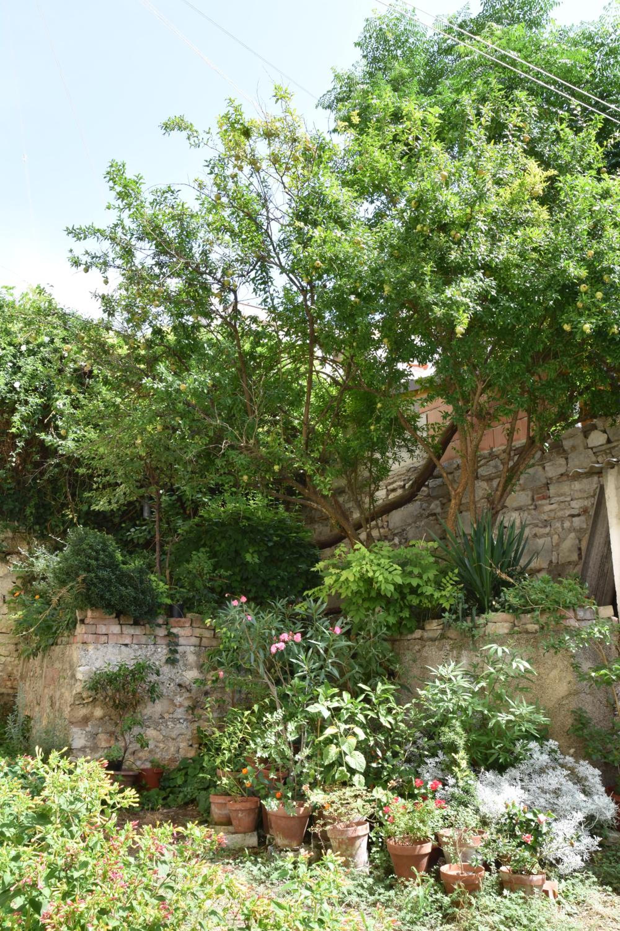 Studio Apartment - Photo 9