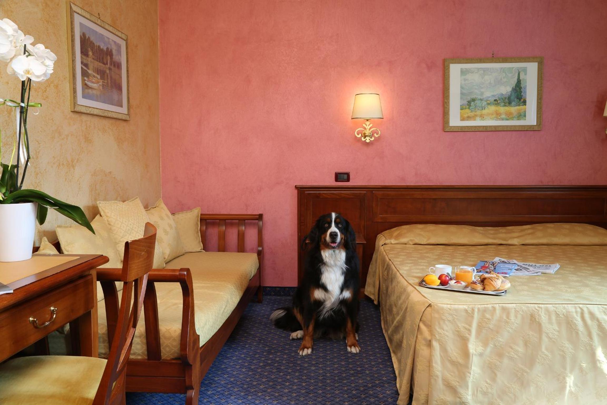 Deluxe Double Room - Photo 2