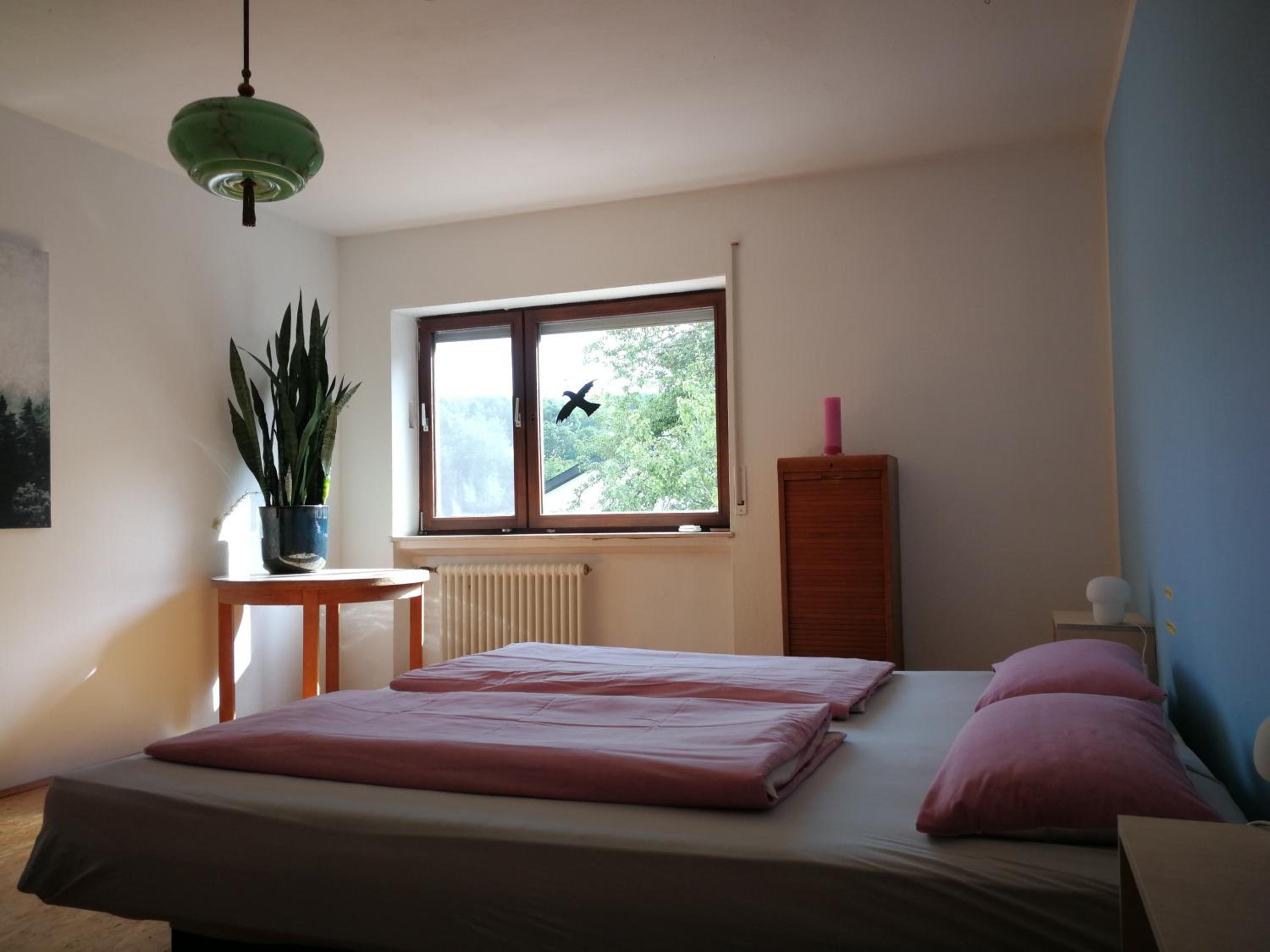 Apartment with Terrace photo 1