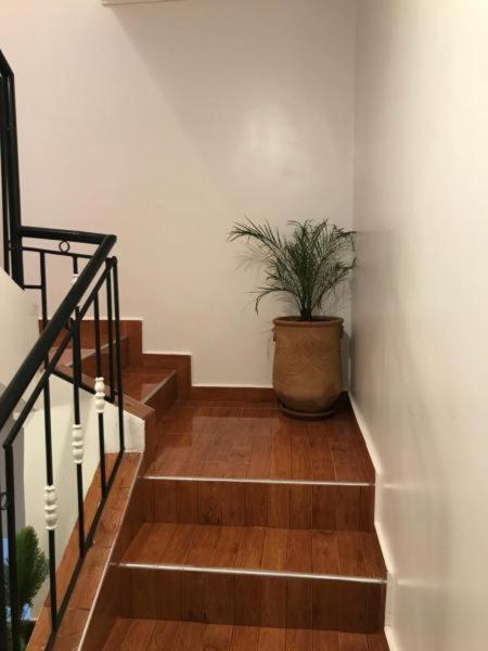 Apartment - Photo 12