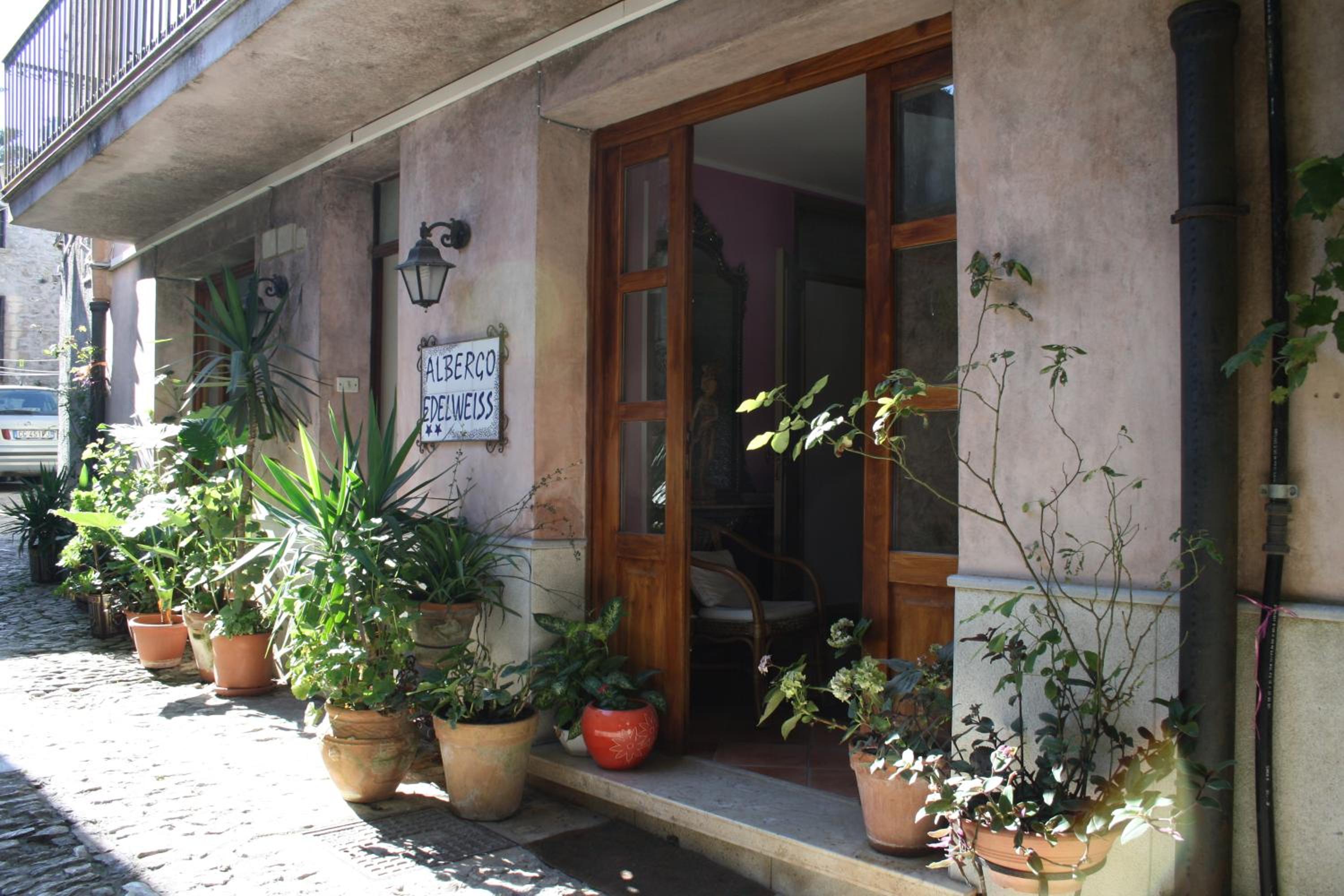 Double Room with Extra Beds (4 Adults) 