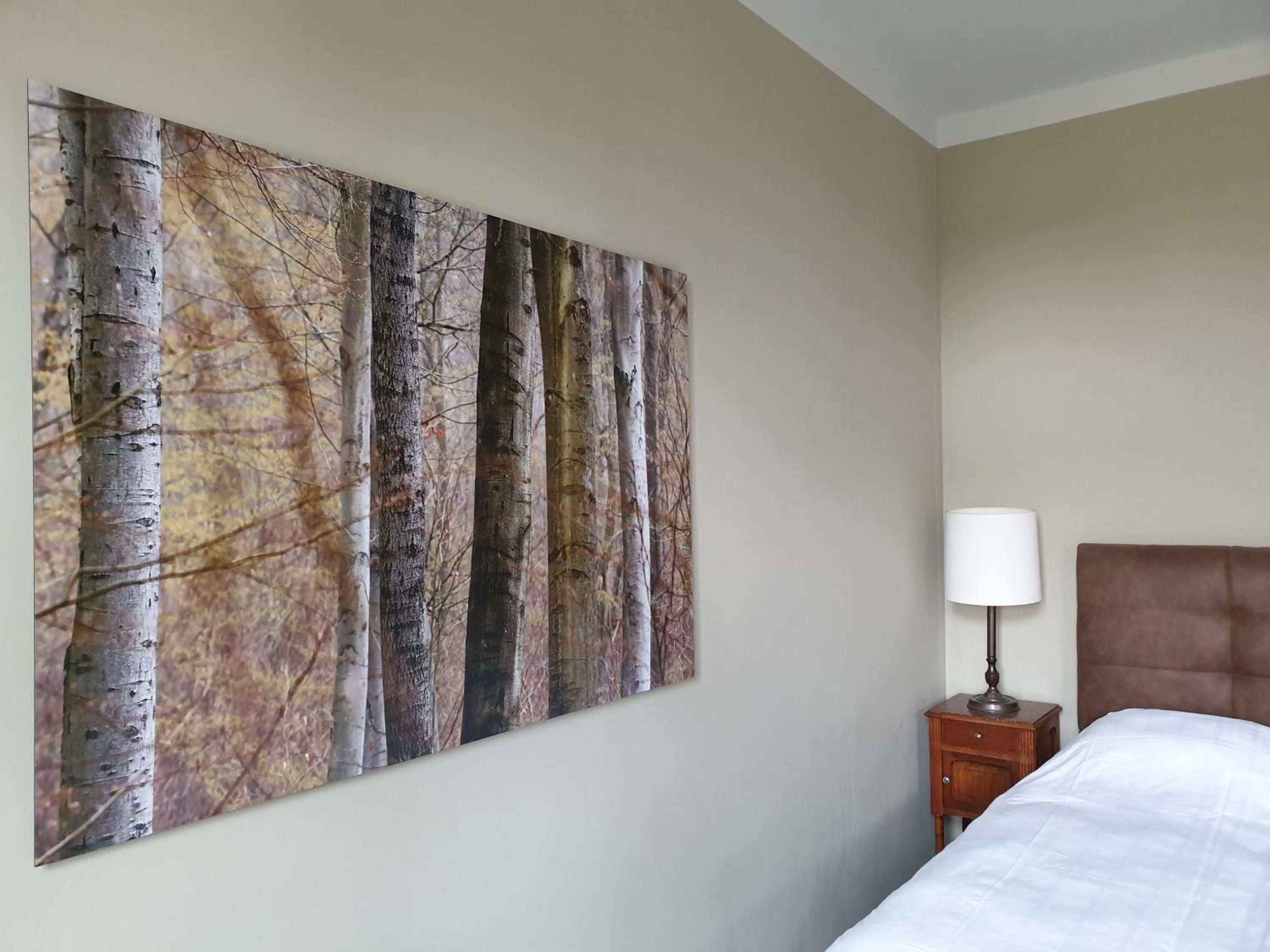 Large Double Room - Photo 3