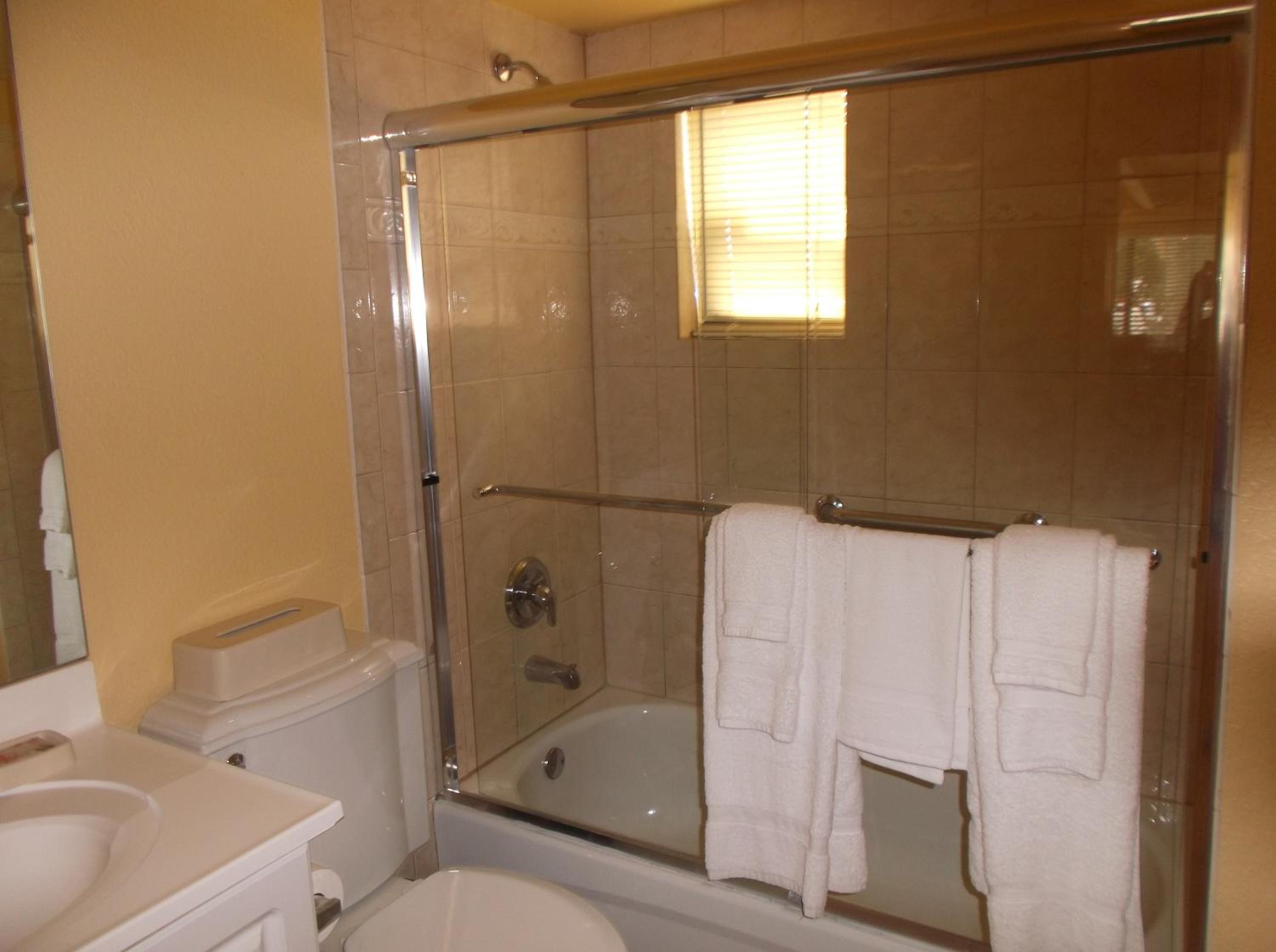 One-Bedroom Apartment - East  photo 2