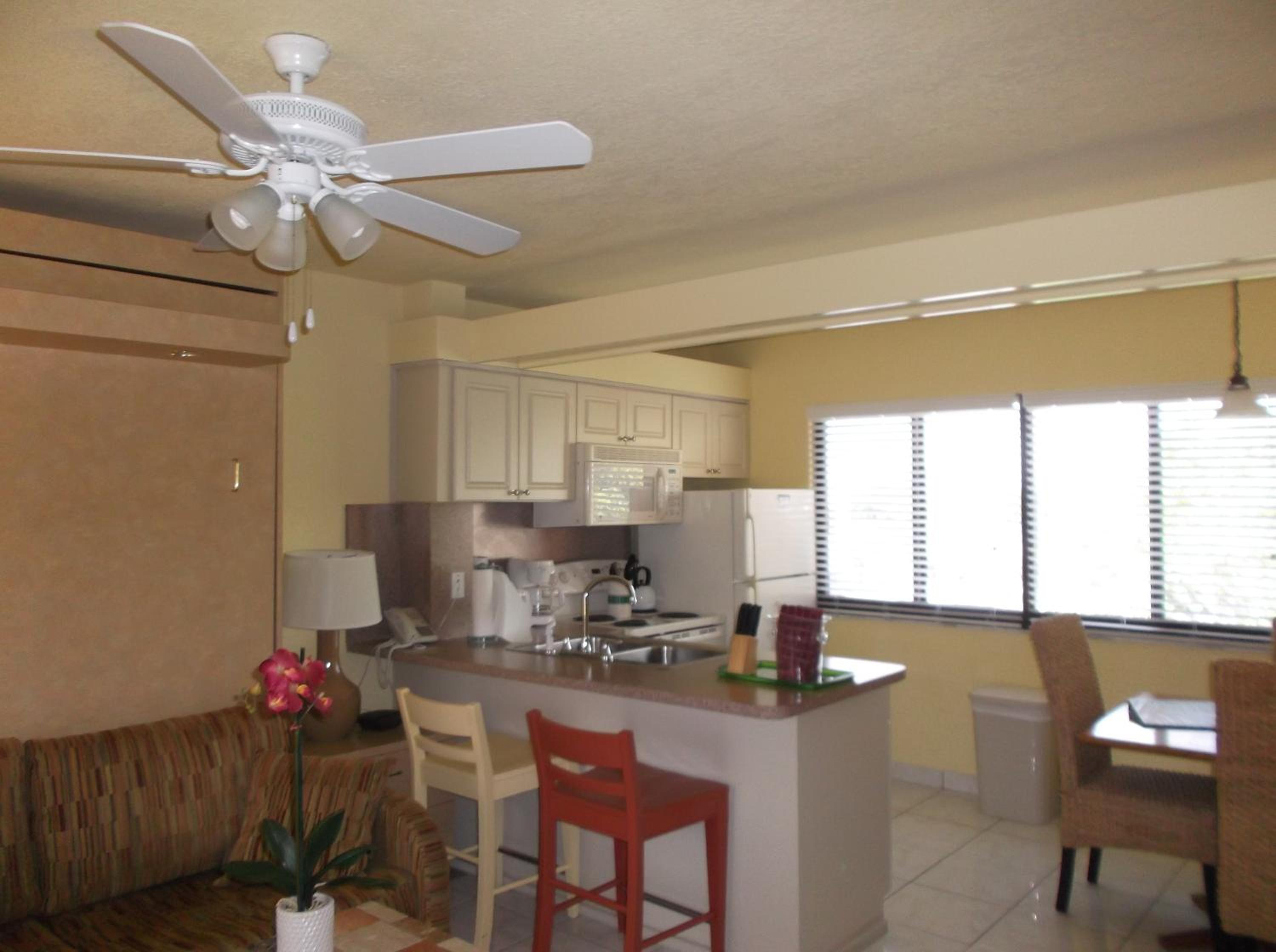One-Bedroom Apartment - East photo 3