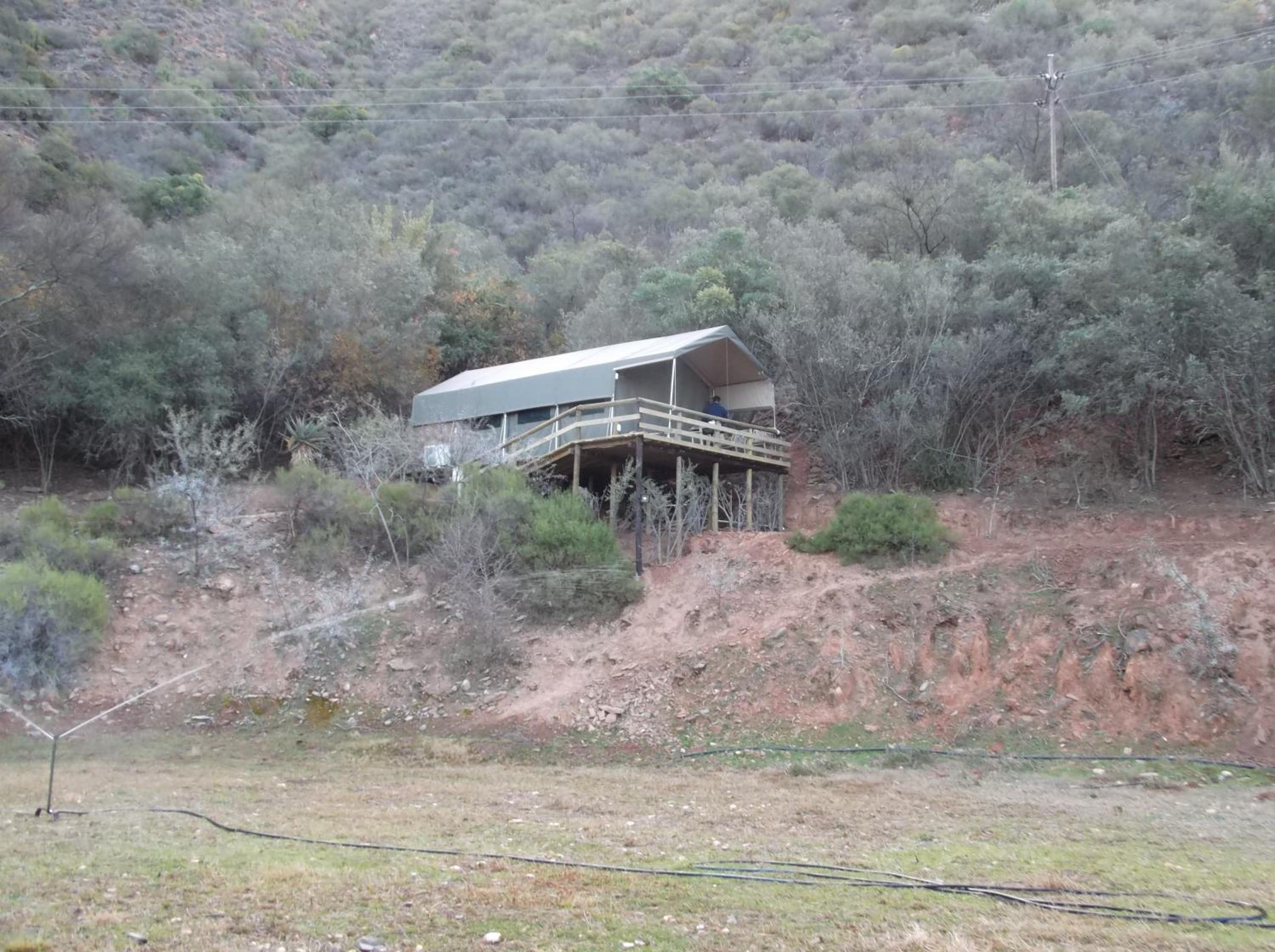 Luxury Tent 10 - Photo 15