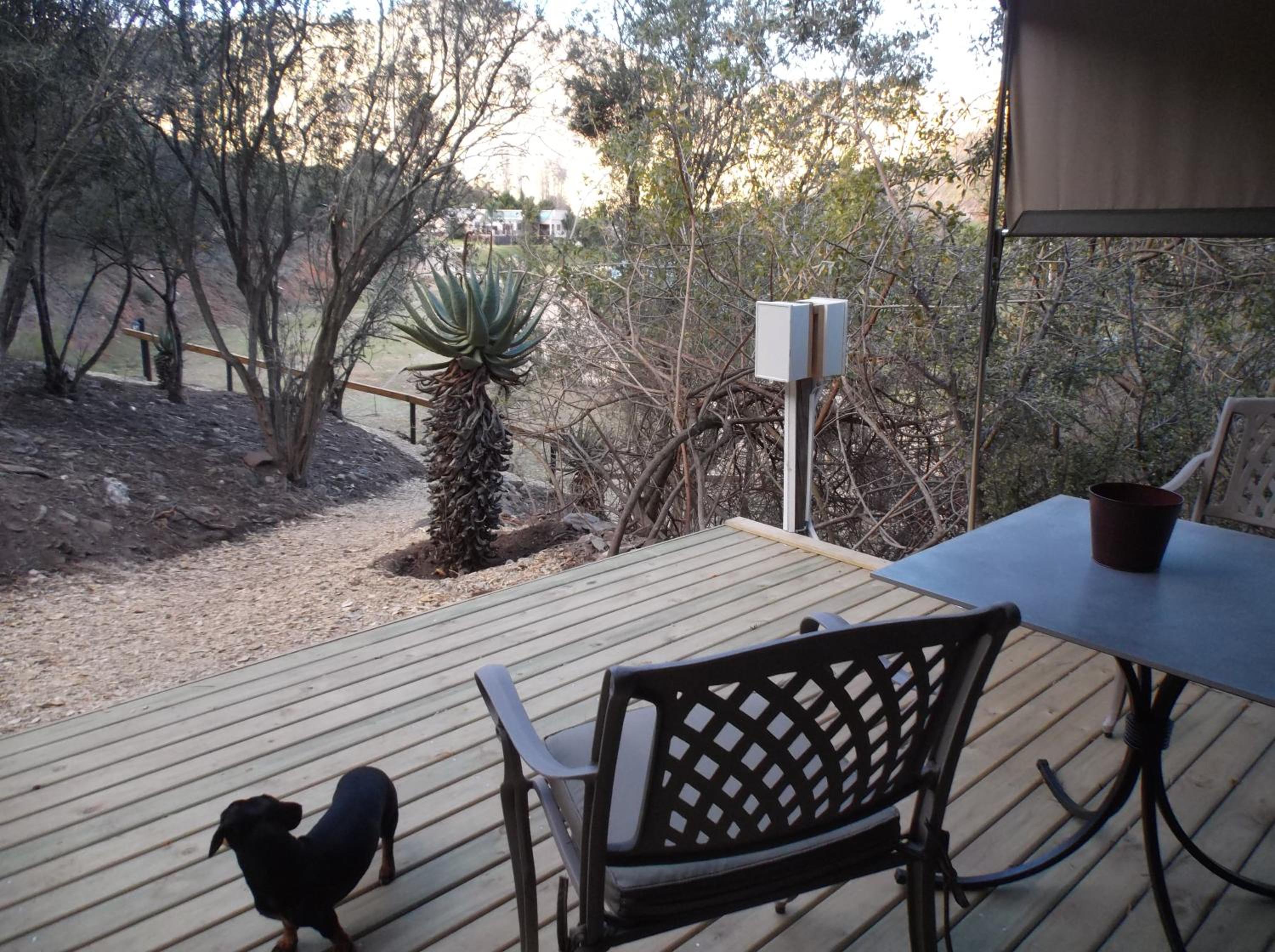 Luxury Tent 9 - Photo 14