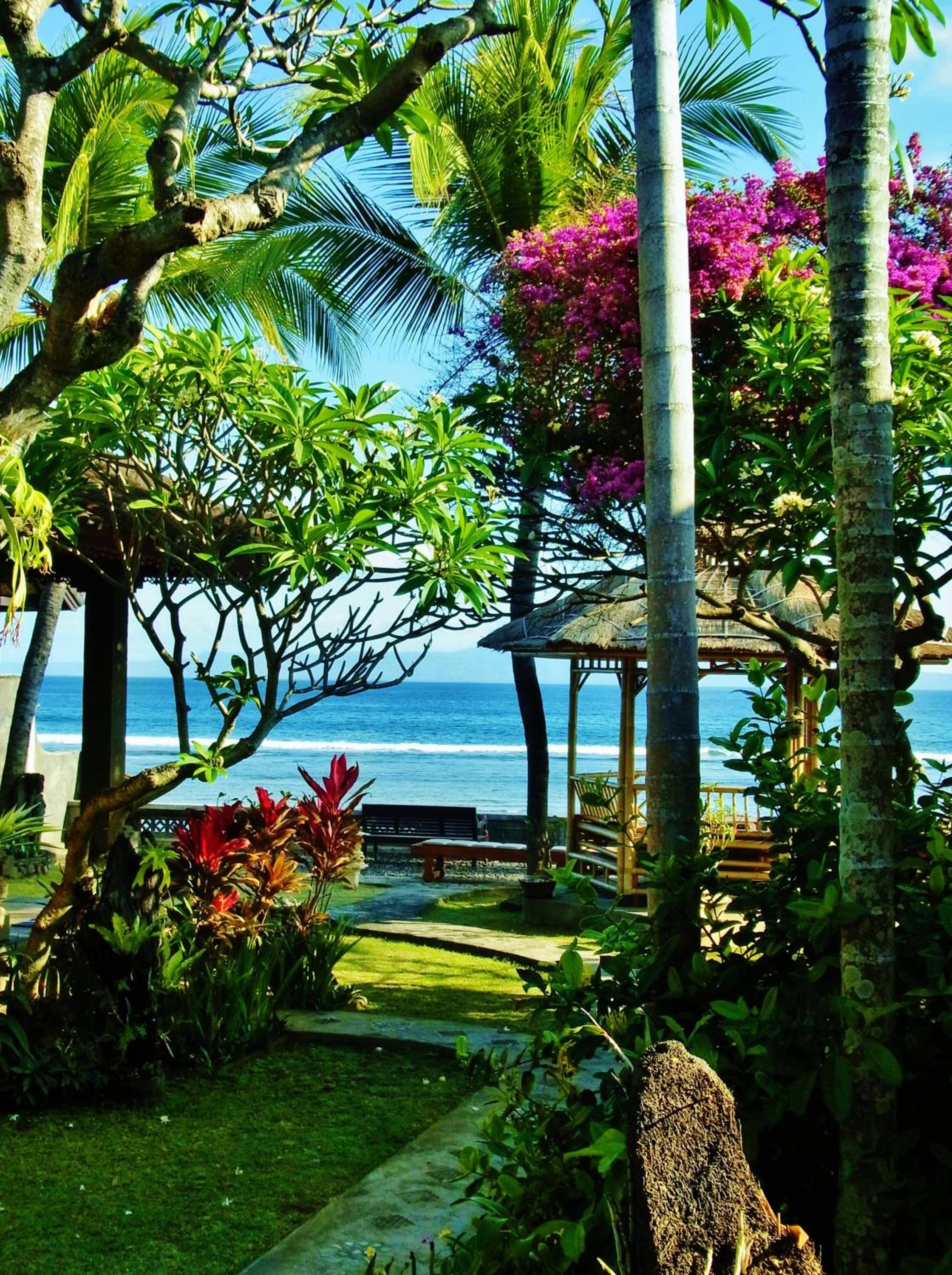 One-Bedroom Bungalow with Garden View photo 3