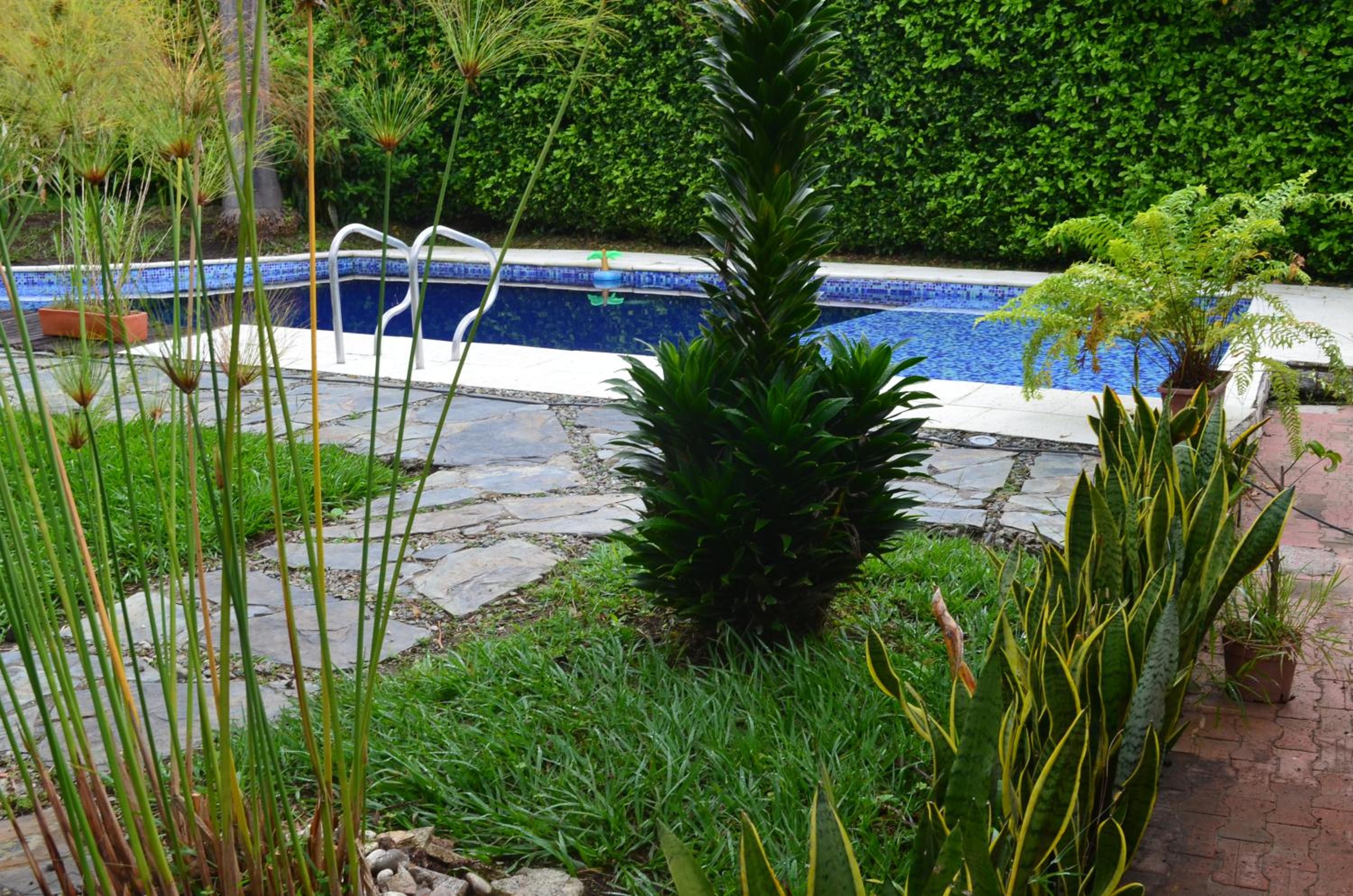 Standard Villa photo 2
