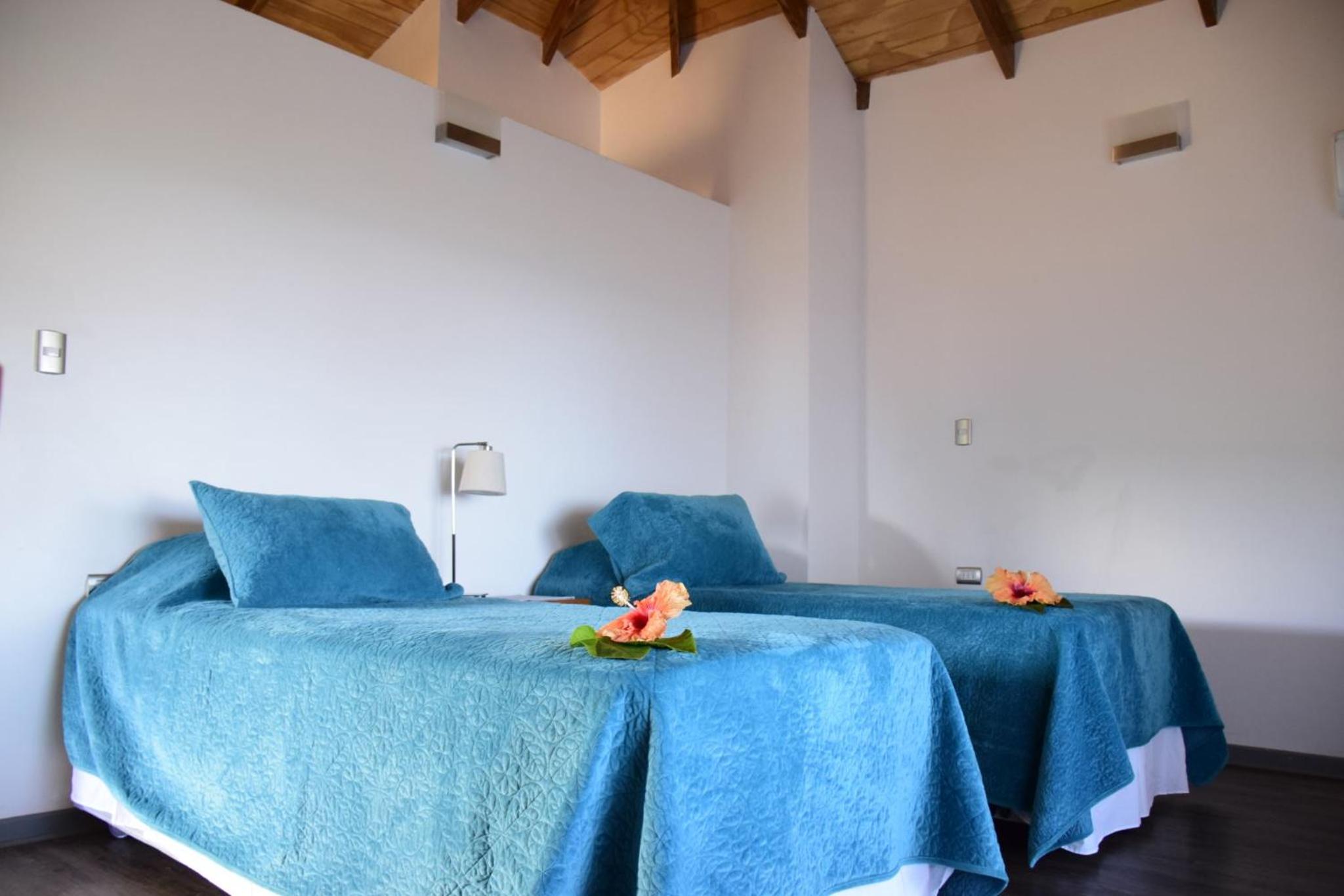 Deluxe Double or Twin Room with Garden View