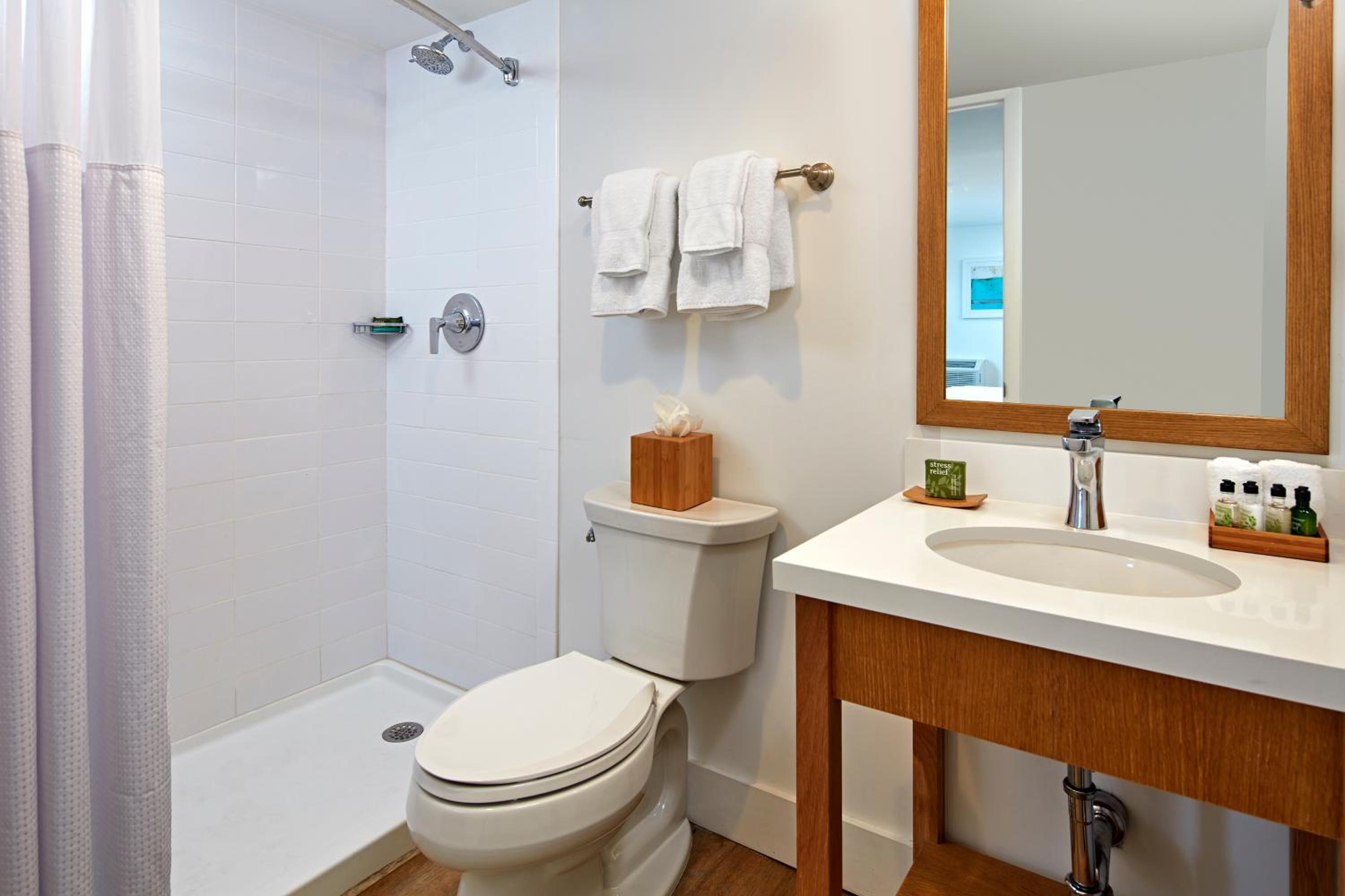 King Room with Ocean View photo 3
