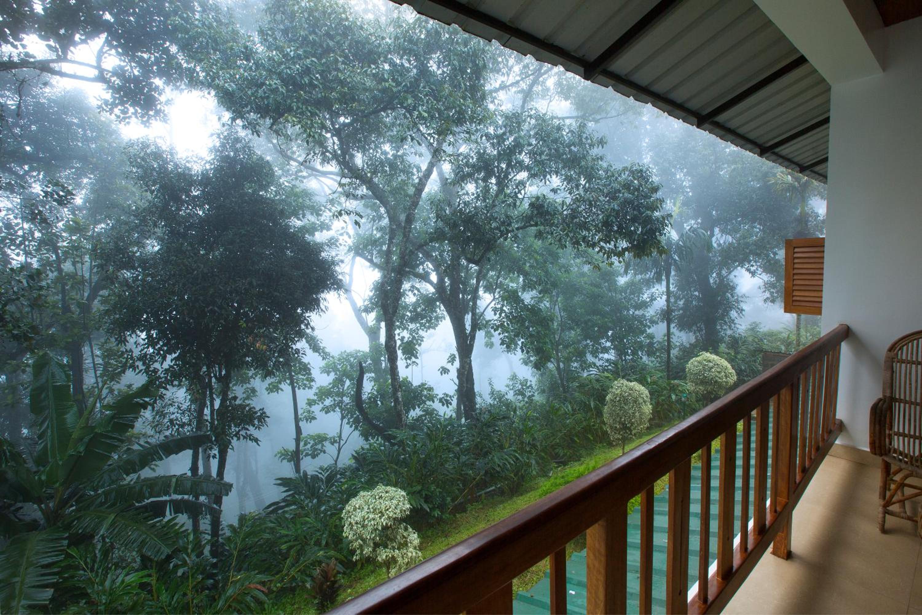 Superior cardamom room with Balcony photo 3