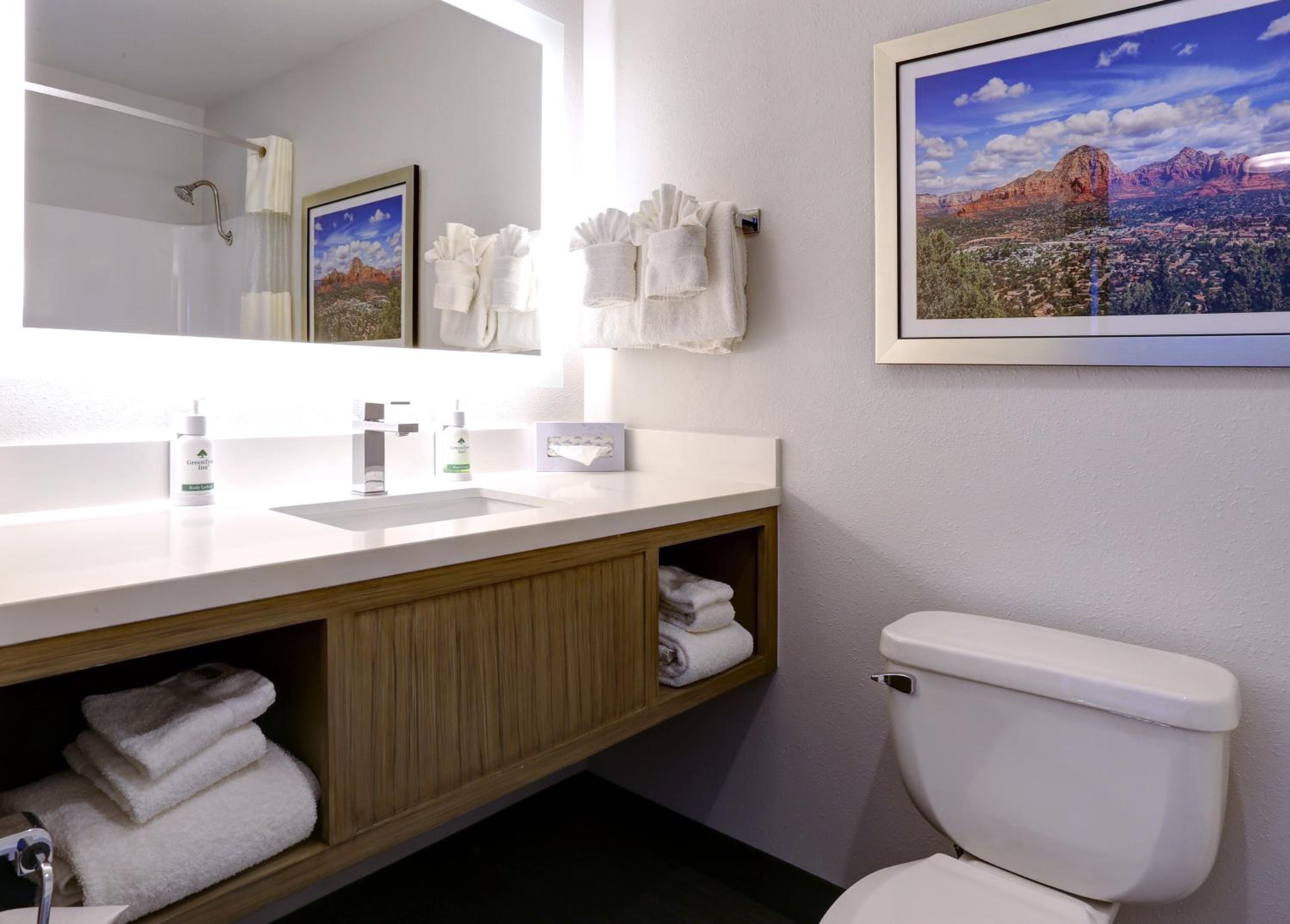 Premium Suite Mountain View - Photo 6