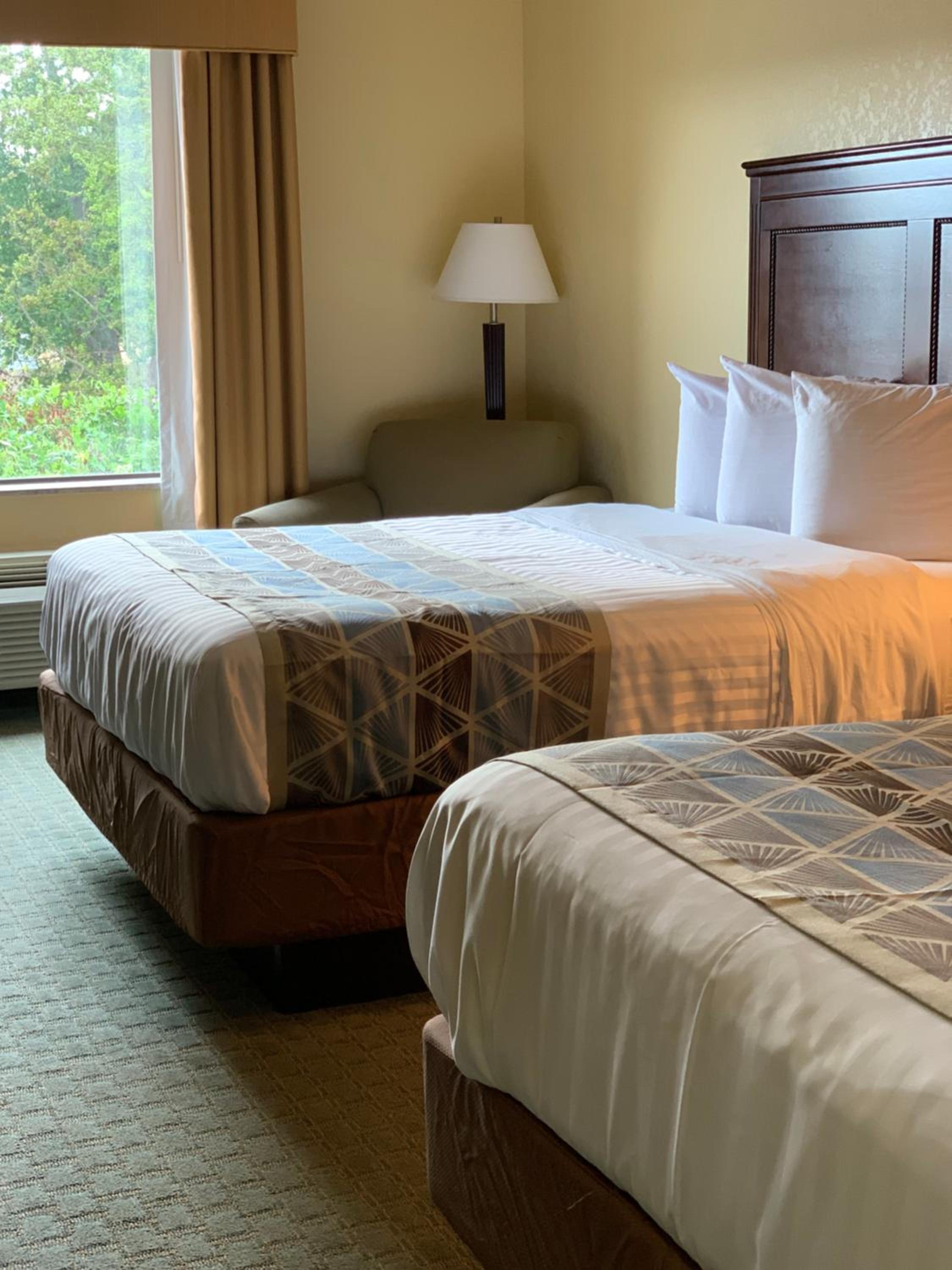 Queen Room with Two Queen Beds - Non-Smoking - Photo 7