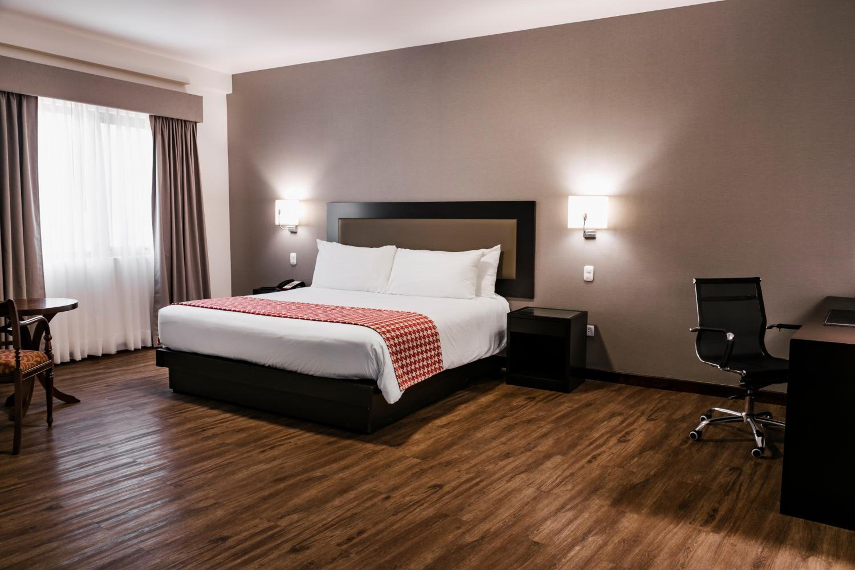 Suite - Photo 1
